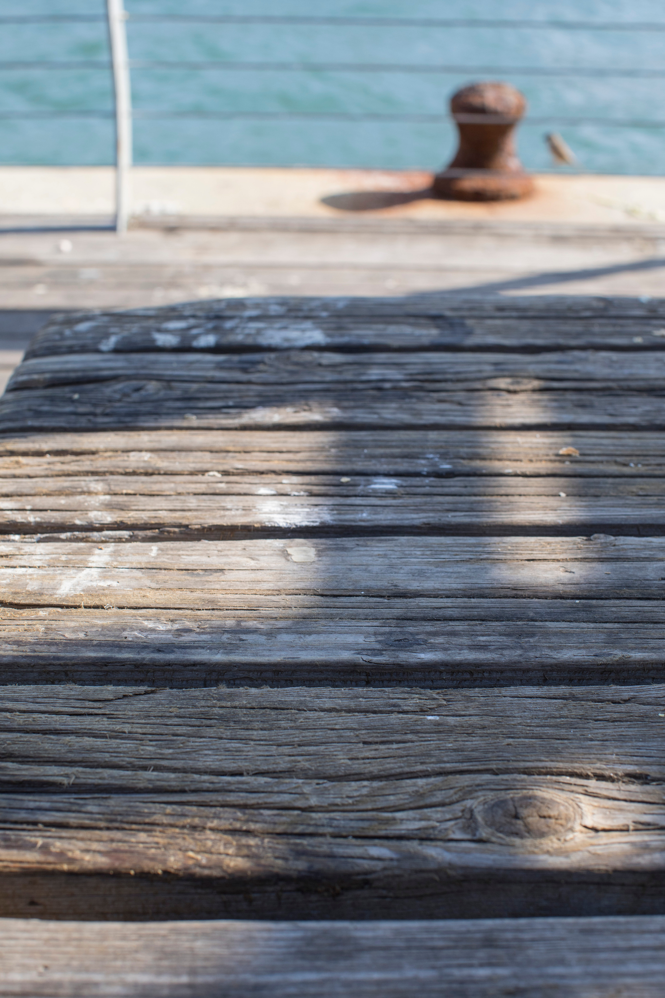 Израиль (январь 2017). Фотограф Сергей Танков