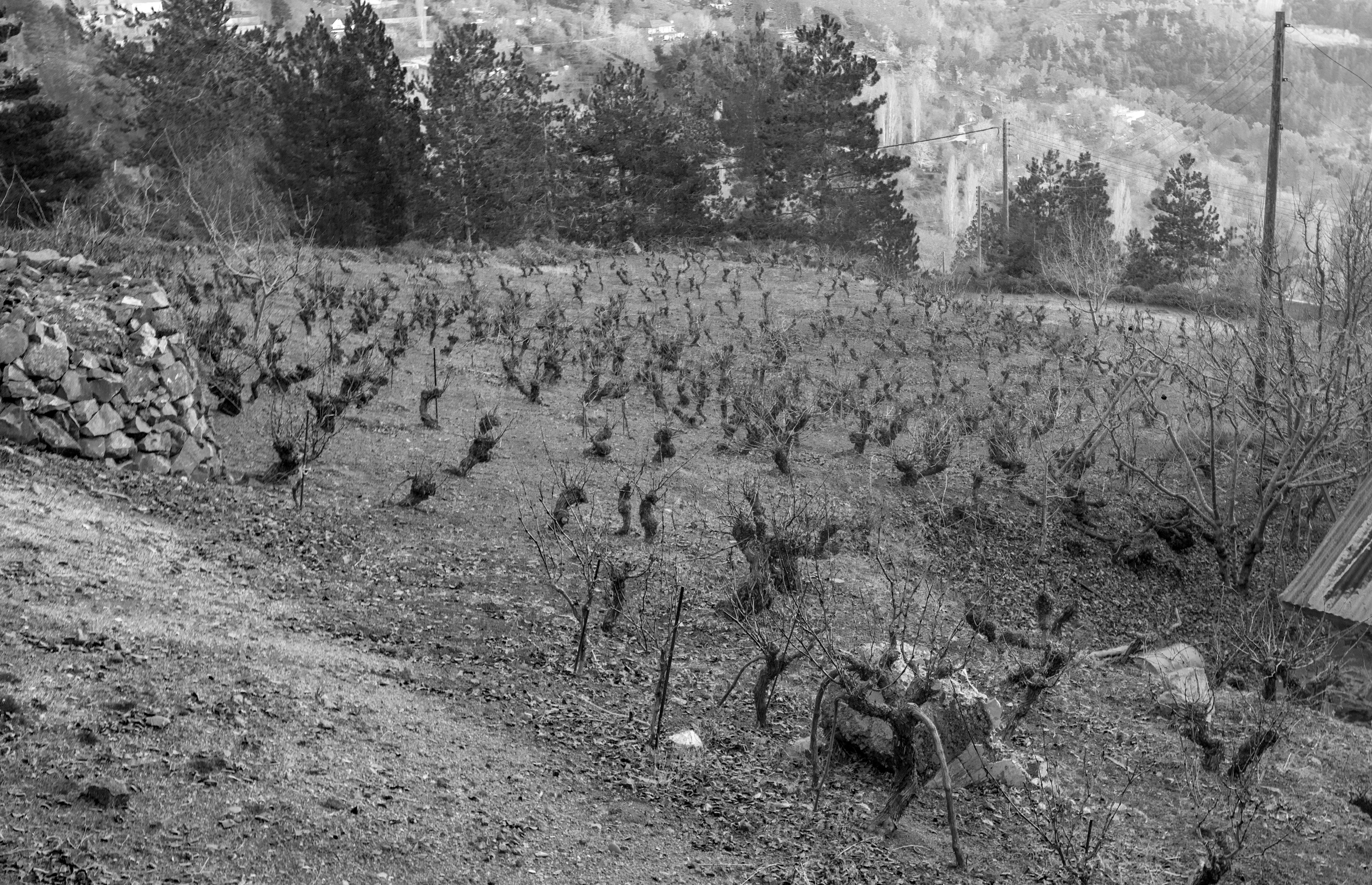 Кипр (январь 2018). Фотограф Сергей Танков