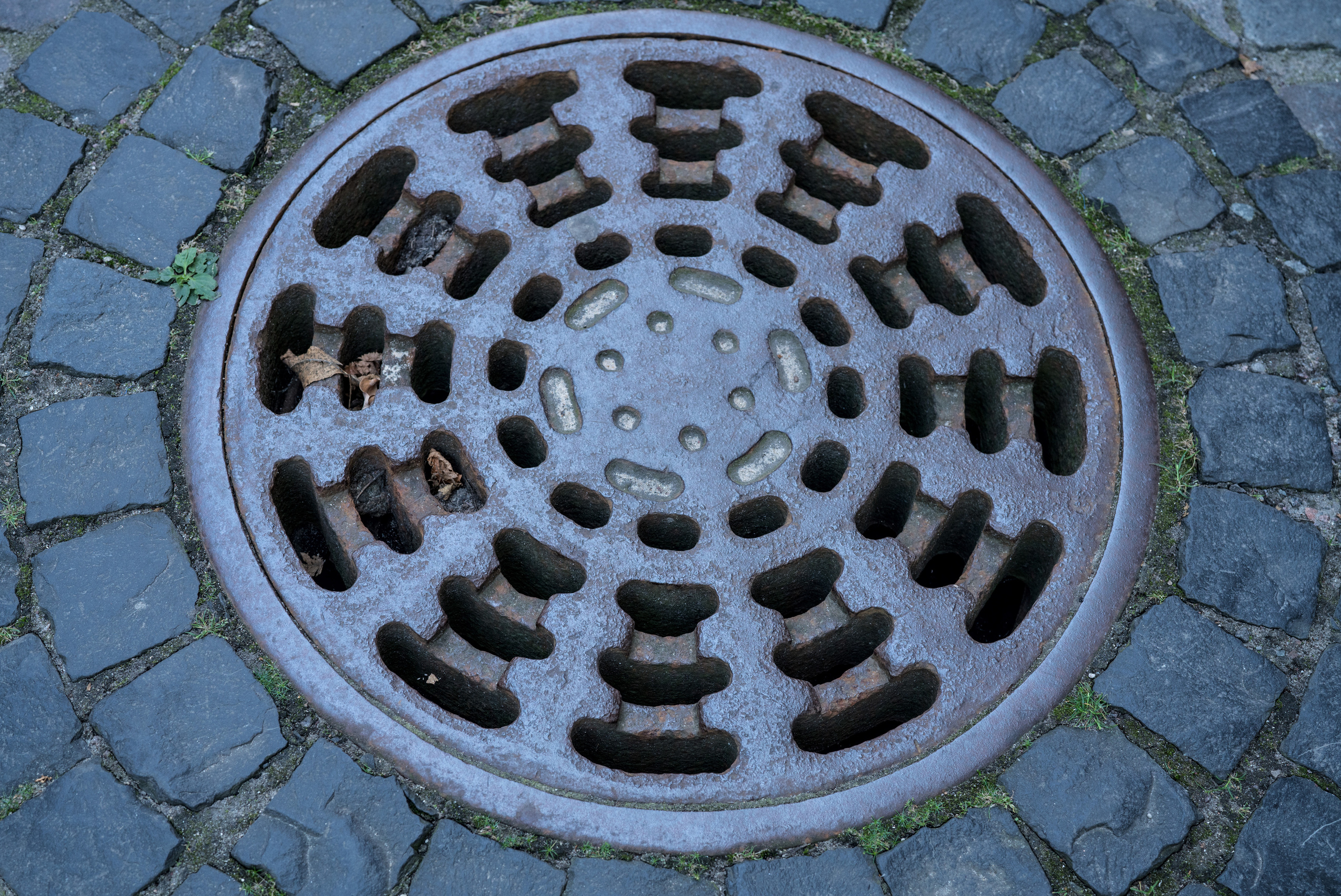 Рига (август 2018). Фотограф Сергей Танков