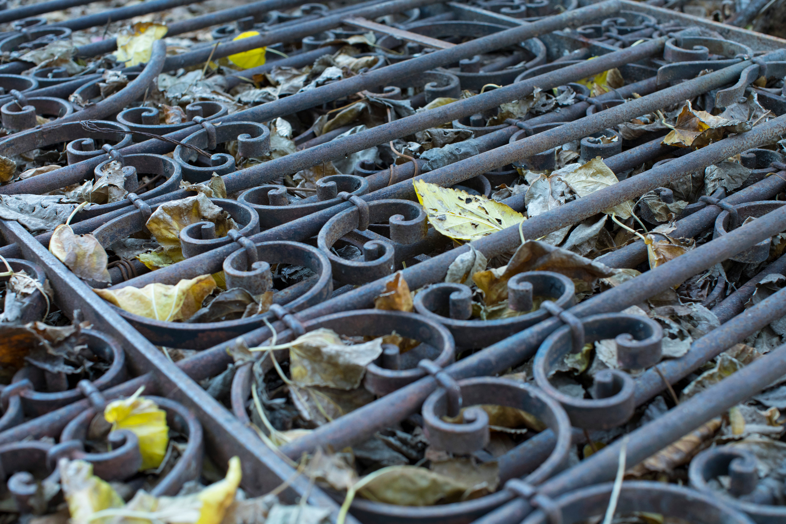 Израиль (январь 2017). Фотограф Сергей Танков