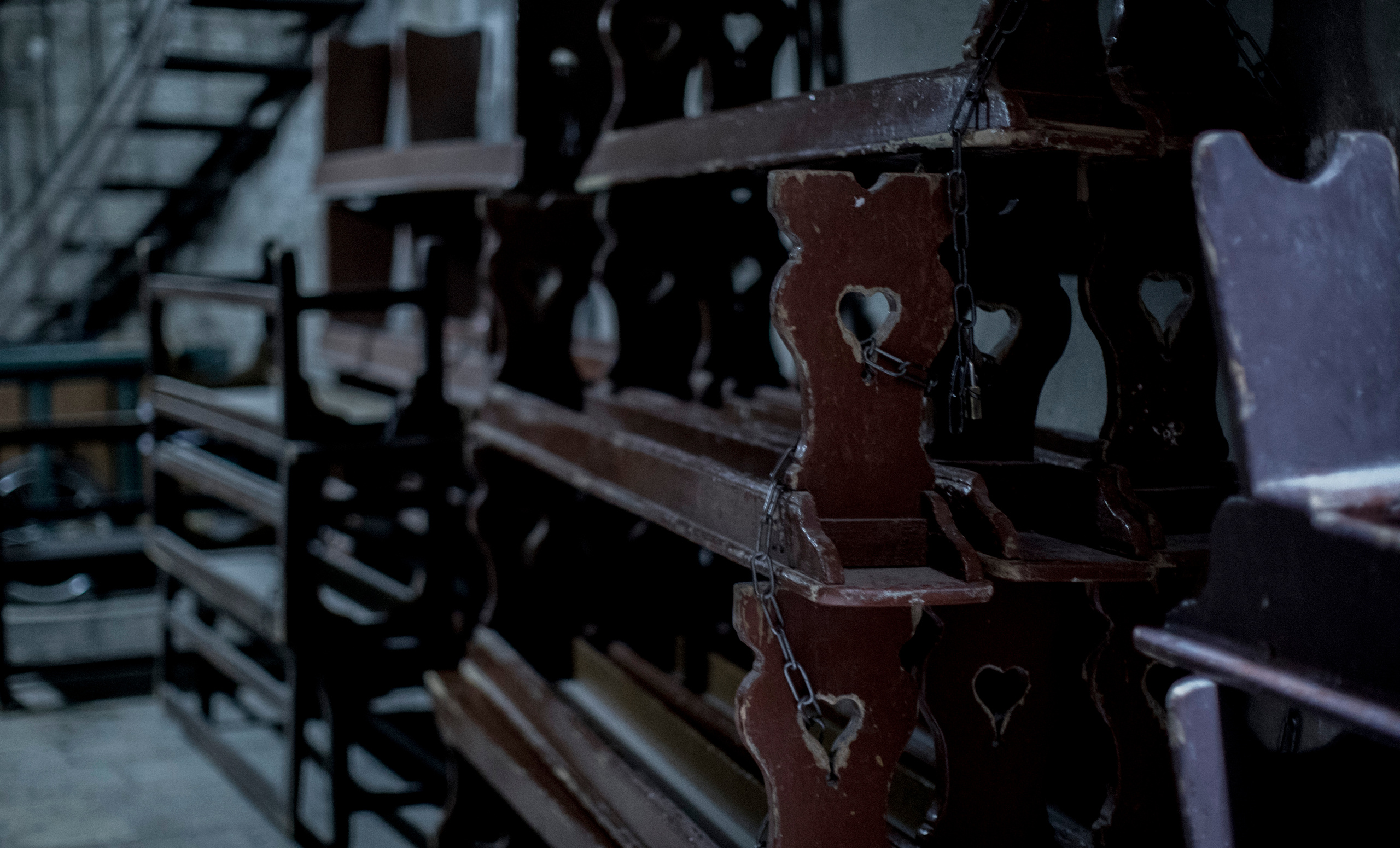 Израиль (январь 2017). Фотограф Сергей Танков