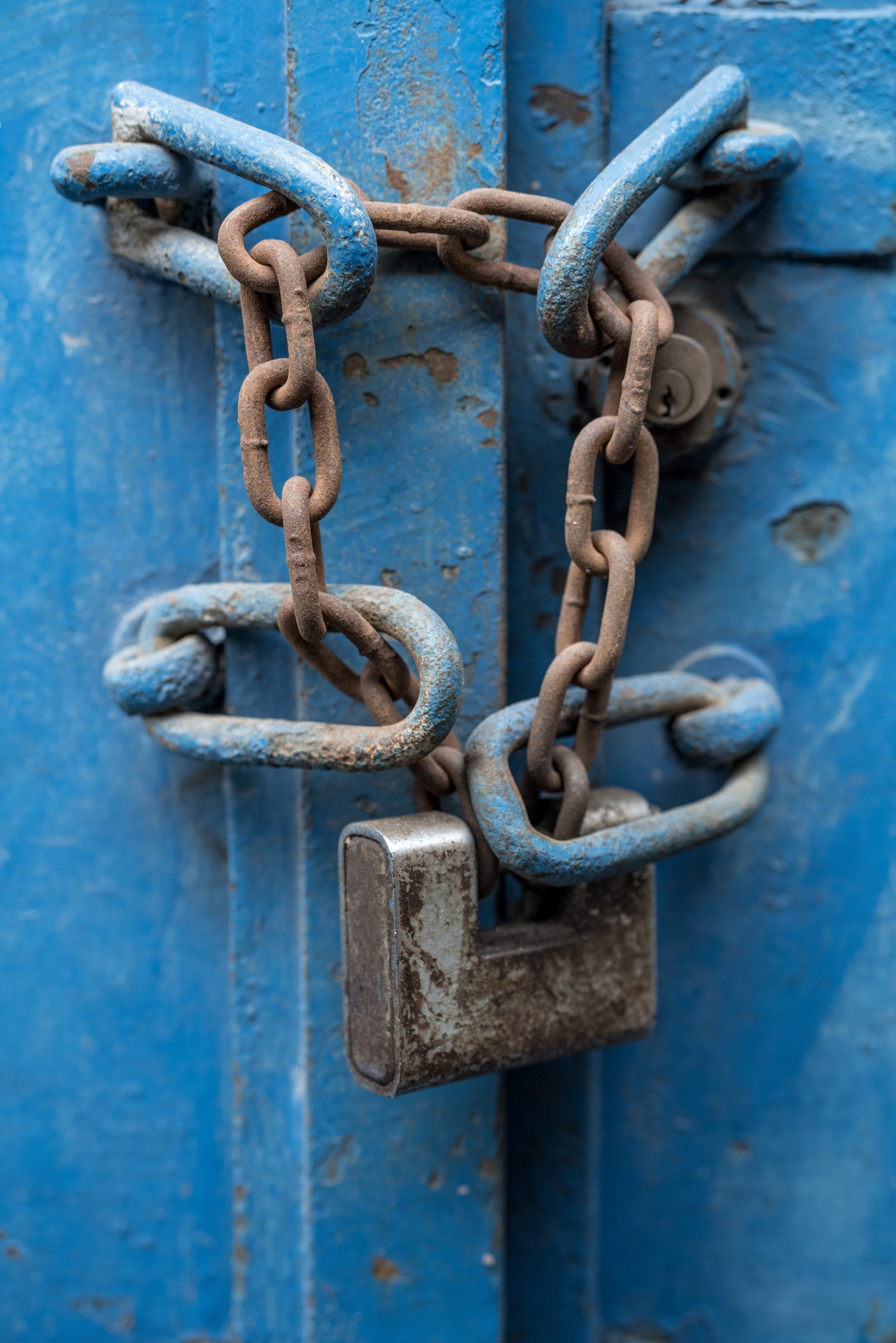 Стамбул (ноябрь 2018). Фотограф Сергей Танков