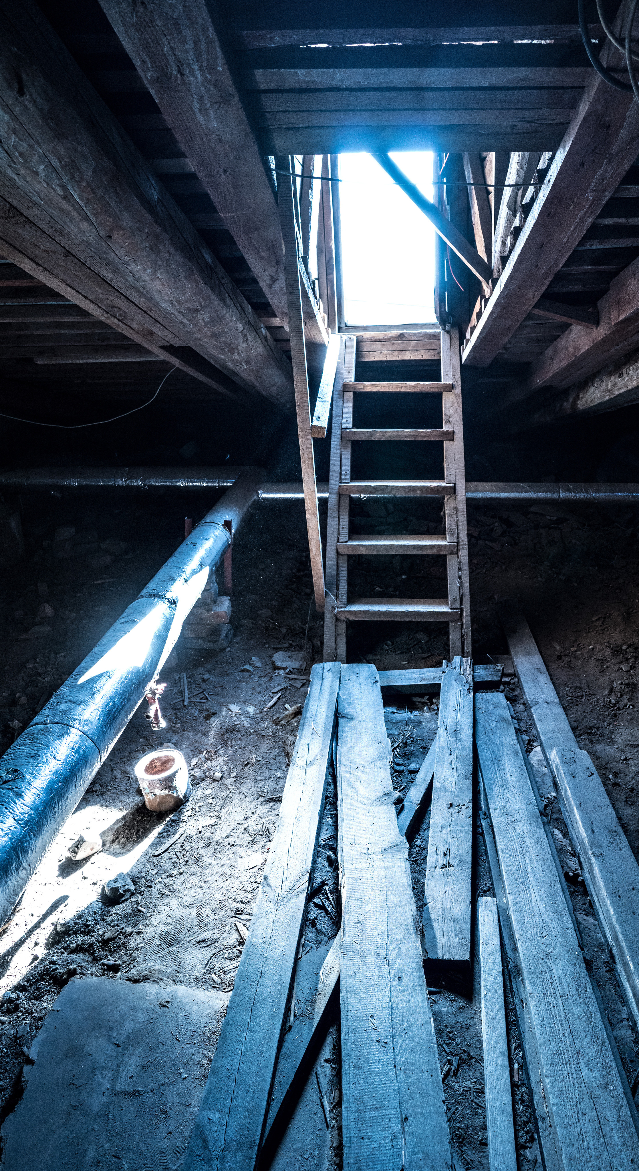 Питер (июль 2018). Фотограф Сергей Танков