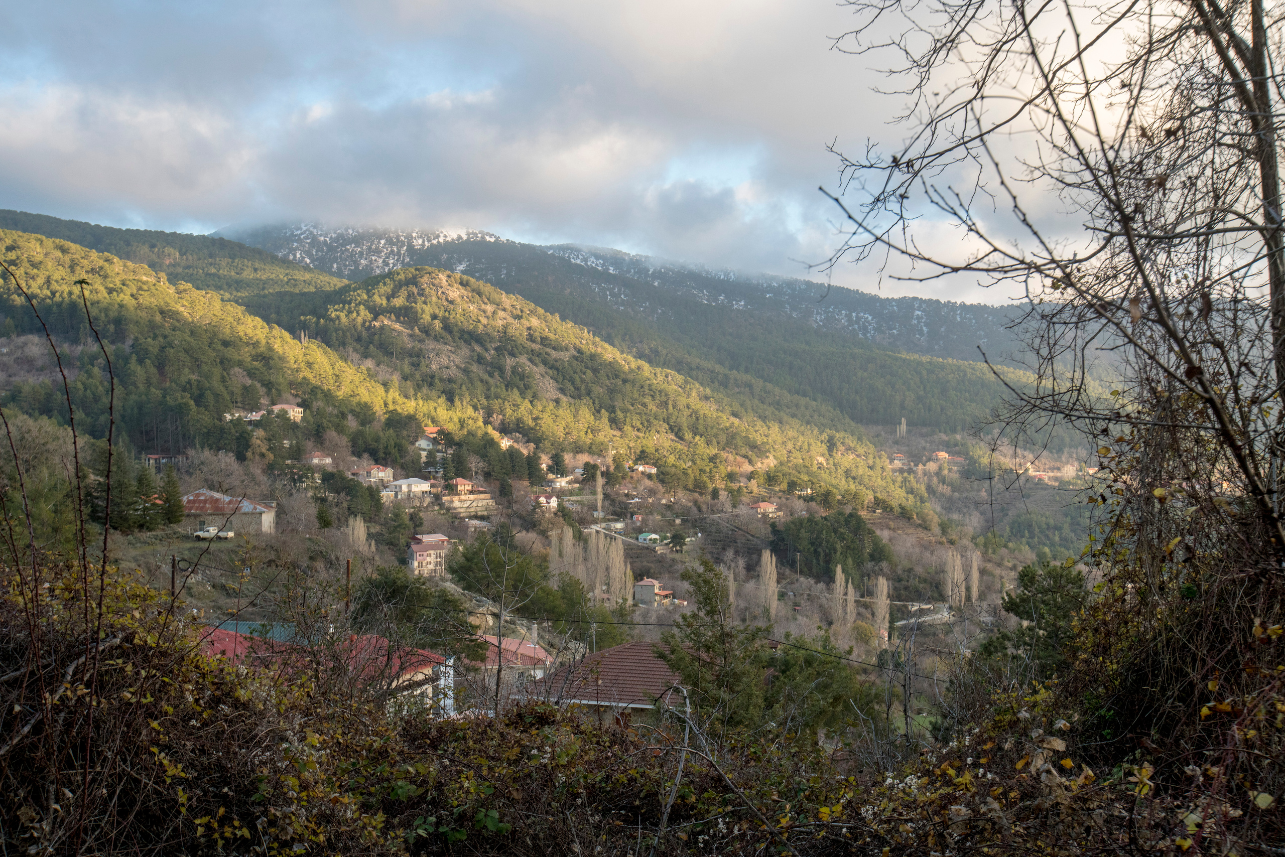 Кипр (январь 2018). Фотограф Сергей Танков