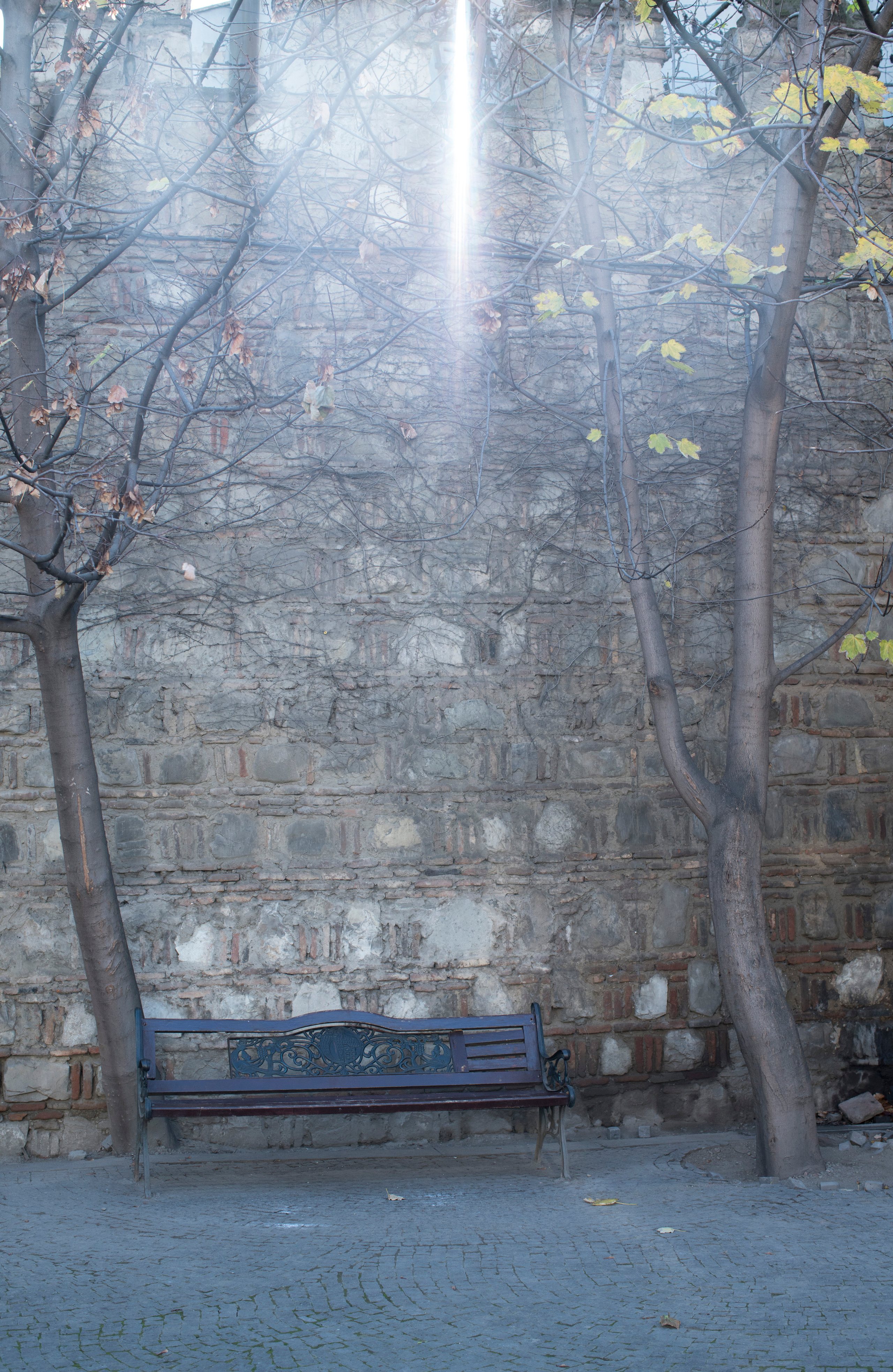 Грузия (декабрь 2017). Фотограф Сергей Танков