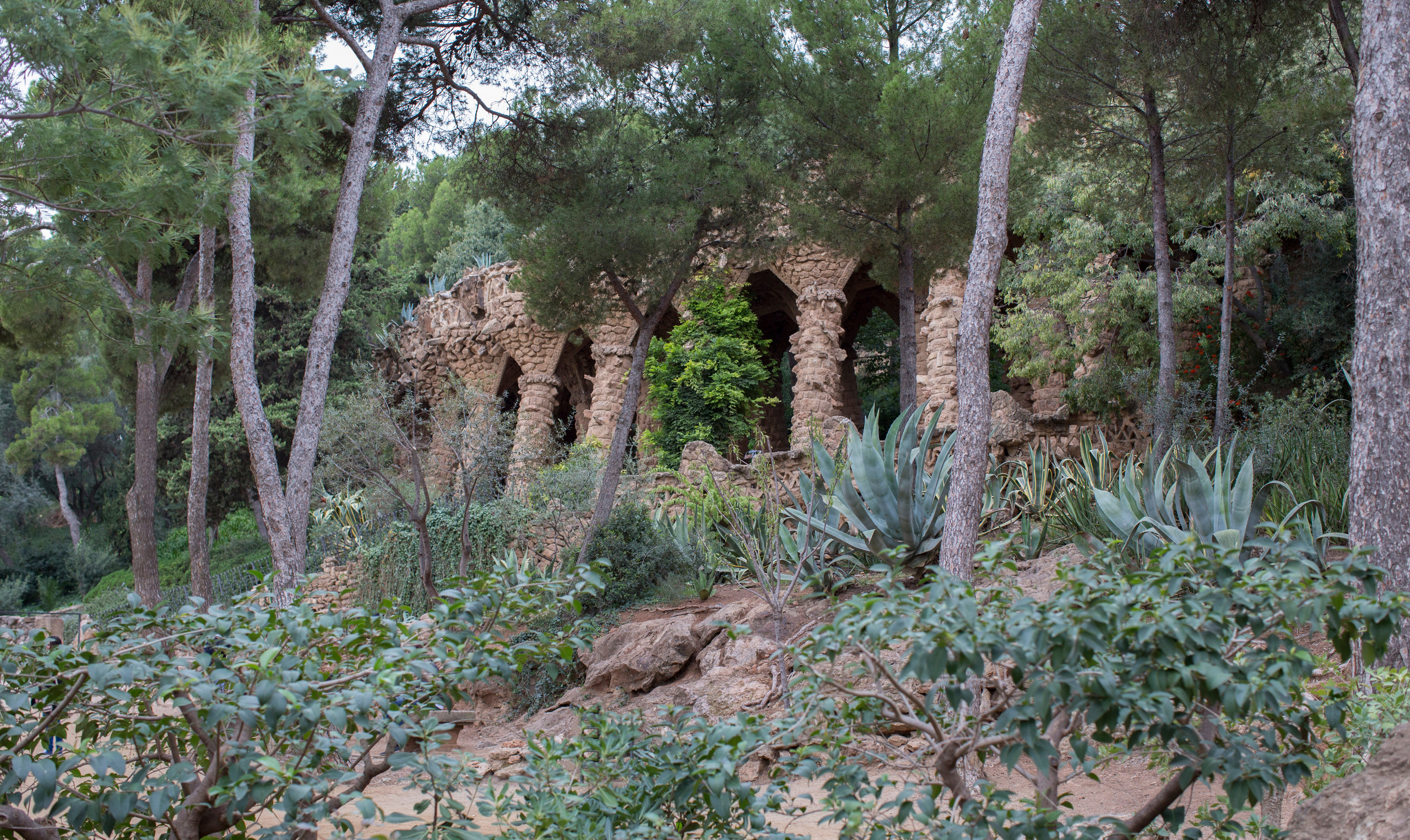 Барселона (октябрь 2015). Фотограф Сергей Танков