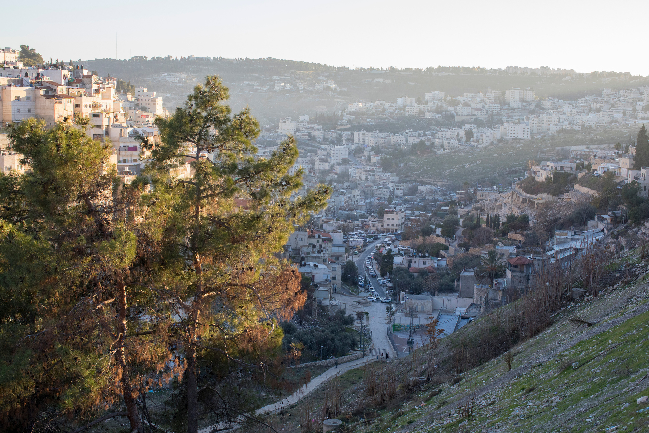 Израиль (январь 2017). Фотограф Сергей Танков