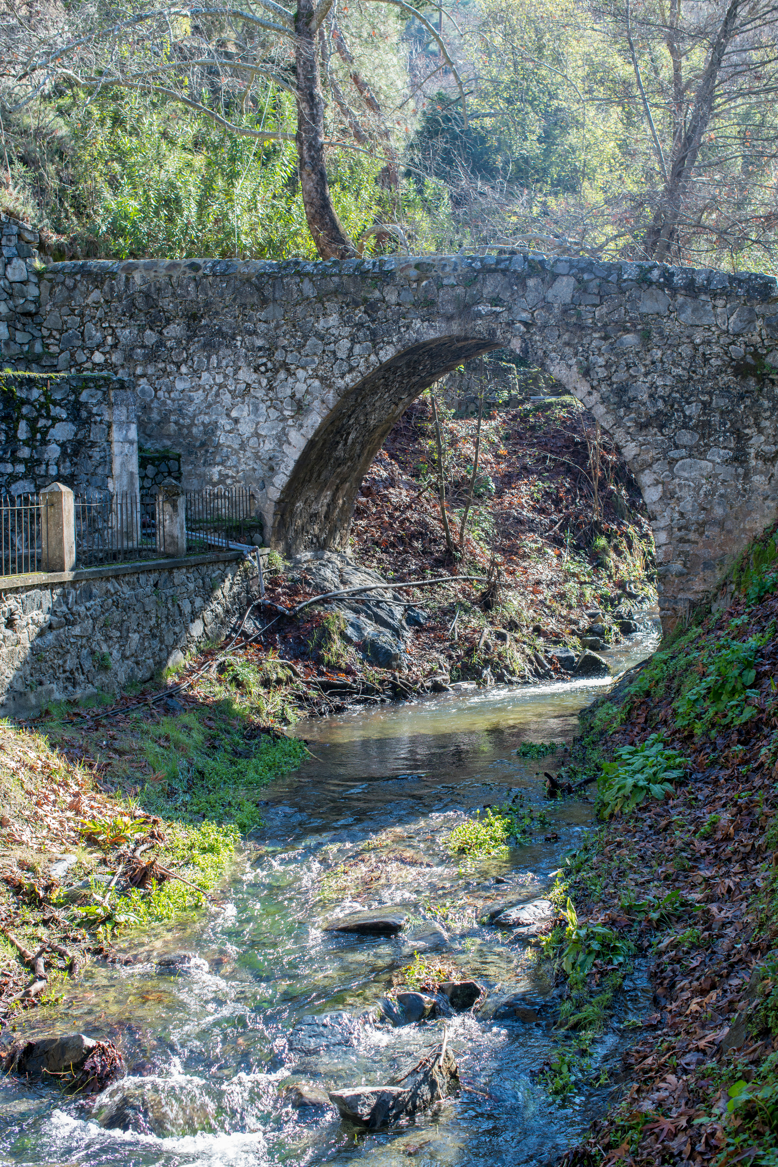 Кипр (январь 2018). Фотограф Сергей Танков