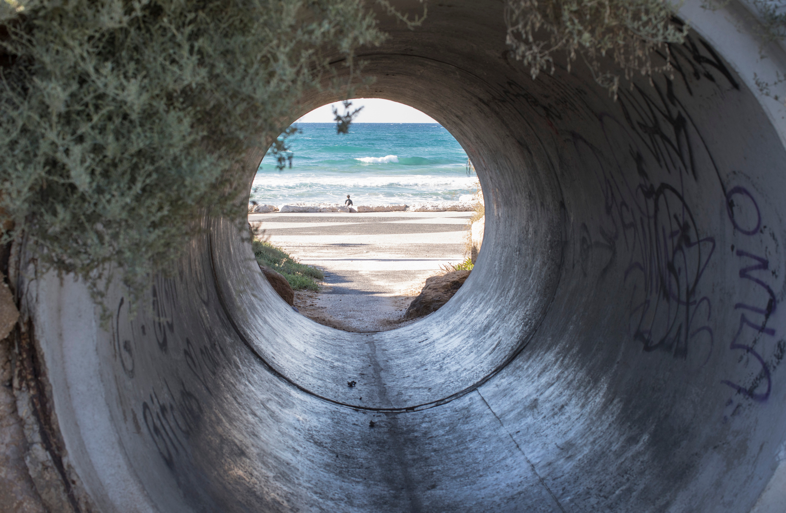 Израиль (январь 2017). Фотограф Сергей Танков