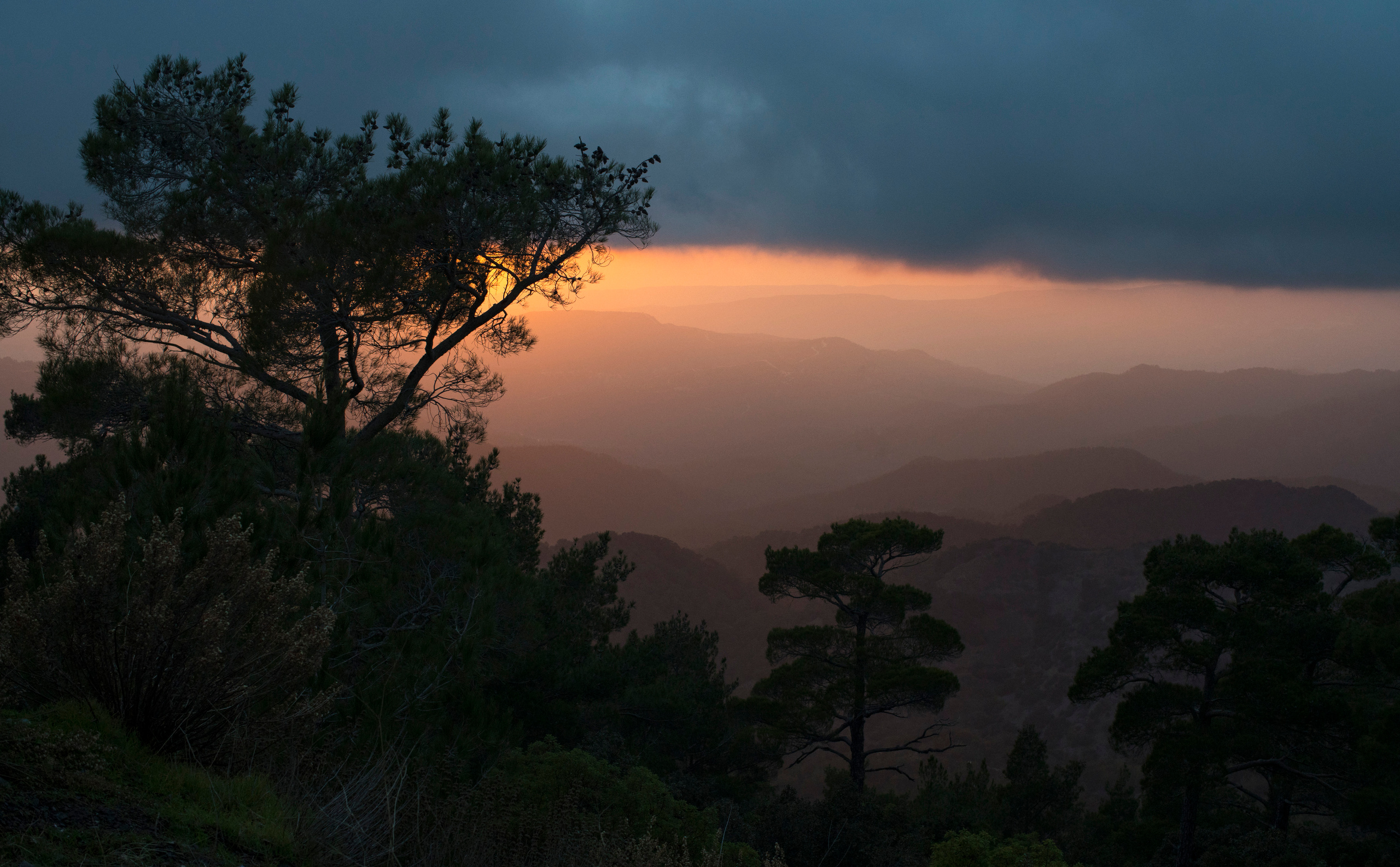 Кипр (январь 2018). Фотограф Сергей Танков