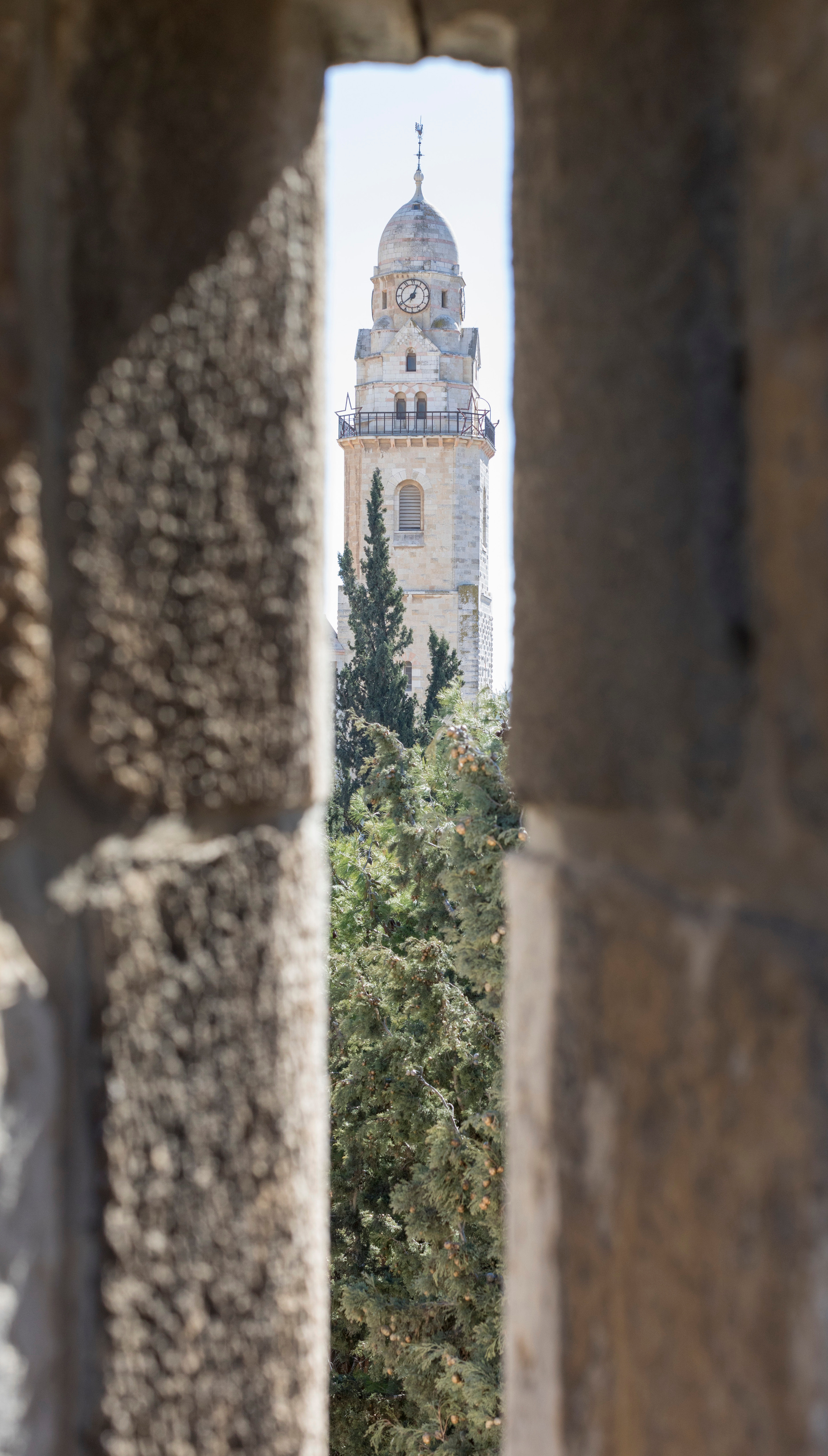 Израиль (январь 2017). Фотограф Сергей Танков