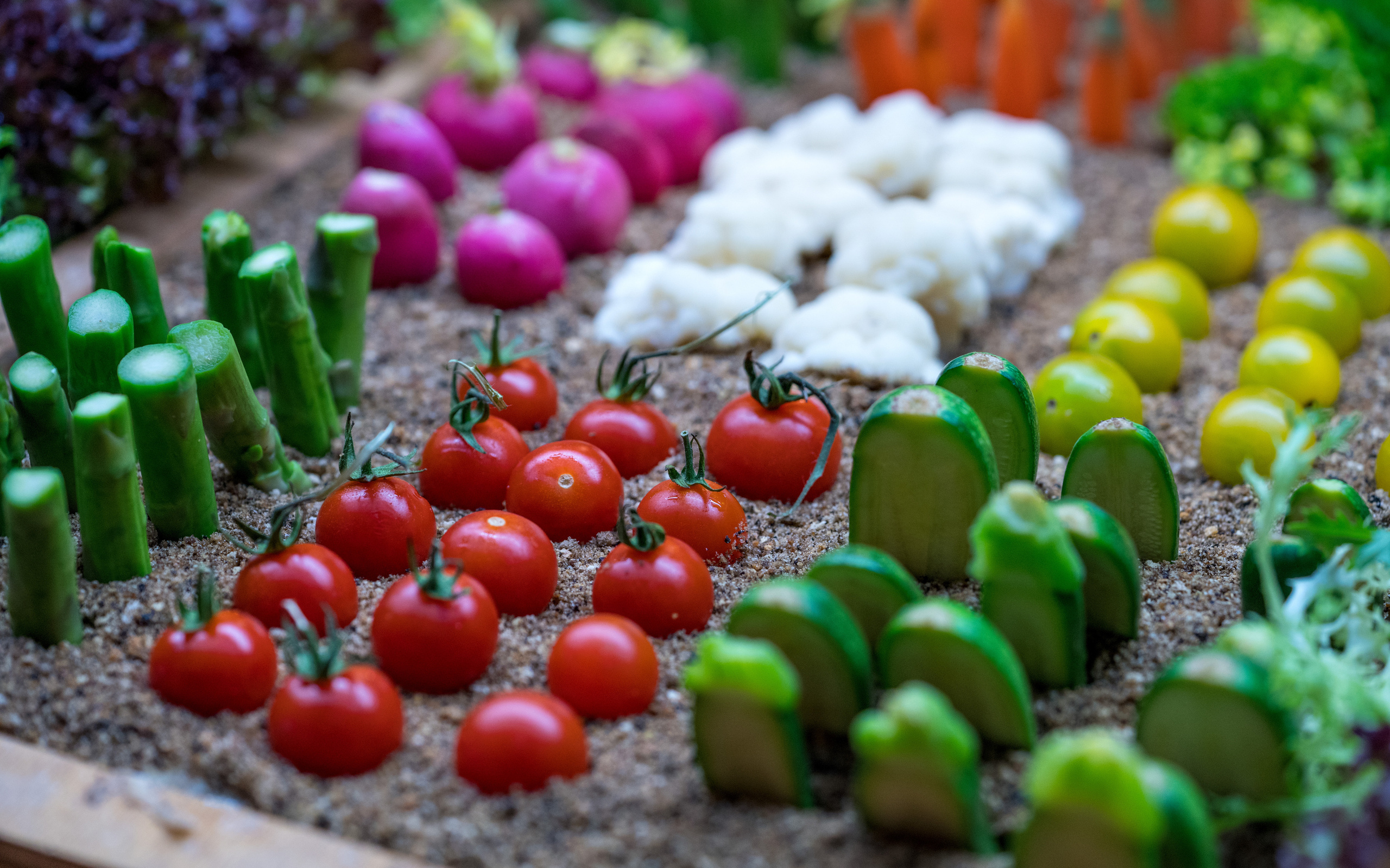 Майорка (июль 2018). Фотограф Сергей Танков