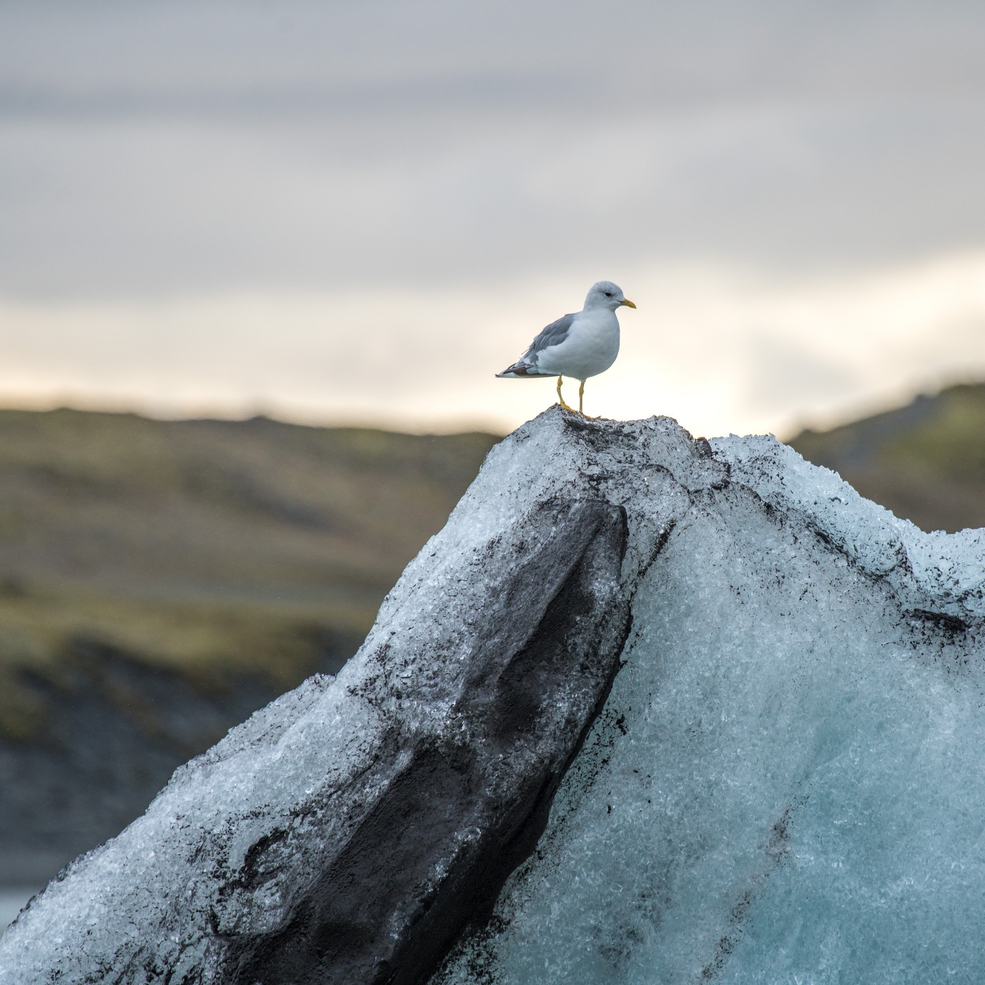 Исландия (август 2018). Фотограф Сергей Танков