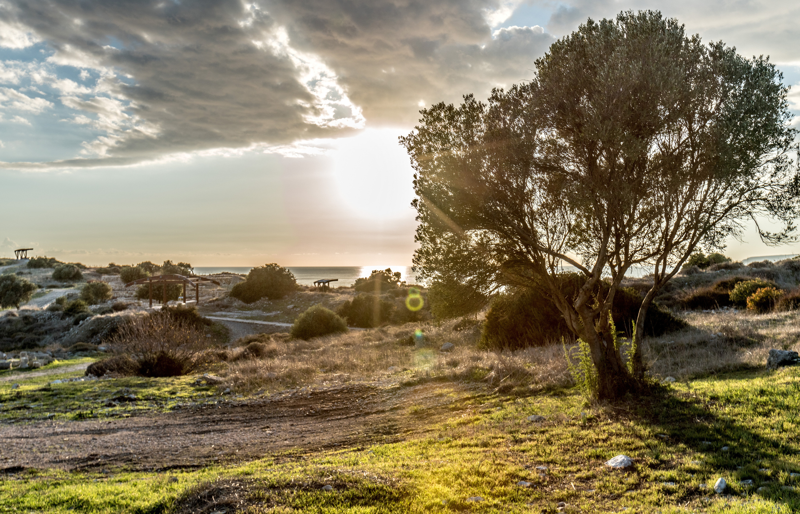 Кипр (январь 2018). Фотограф Сергей Танков