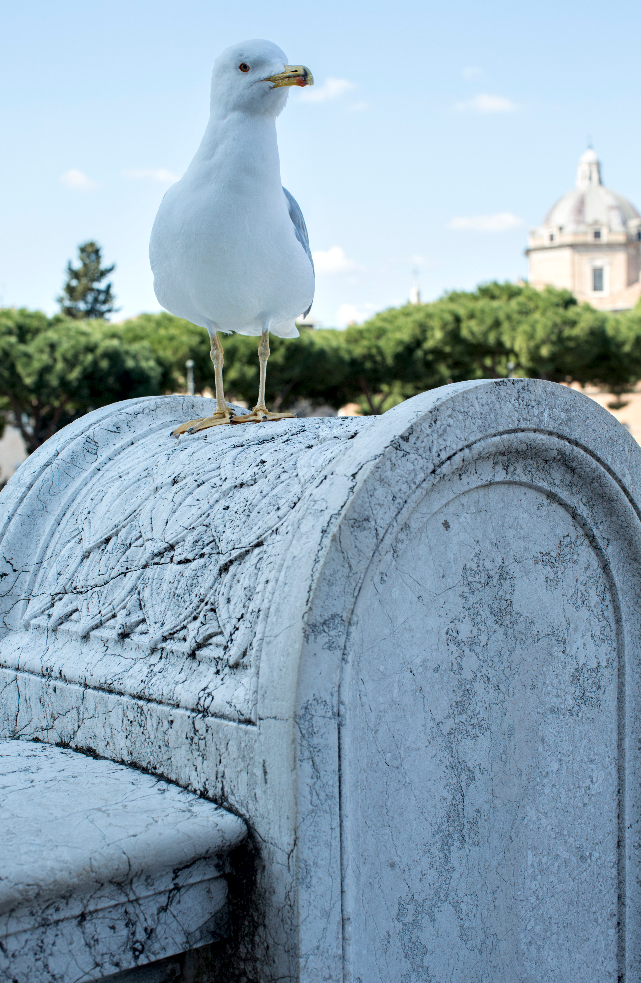 Рим (март 2015). Фотограф Сергей Танков