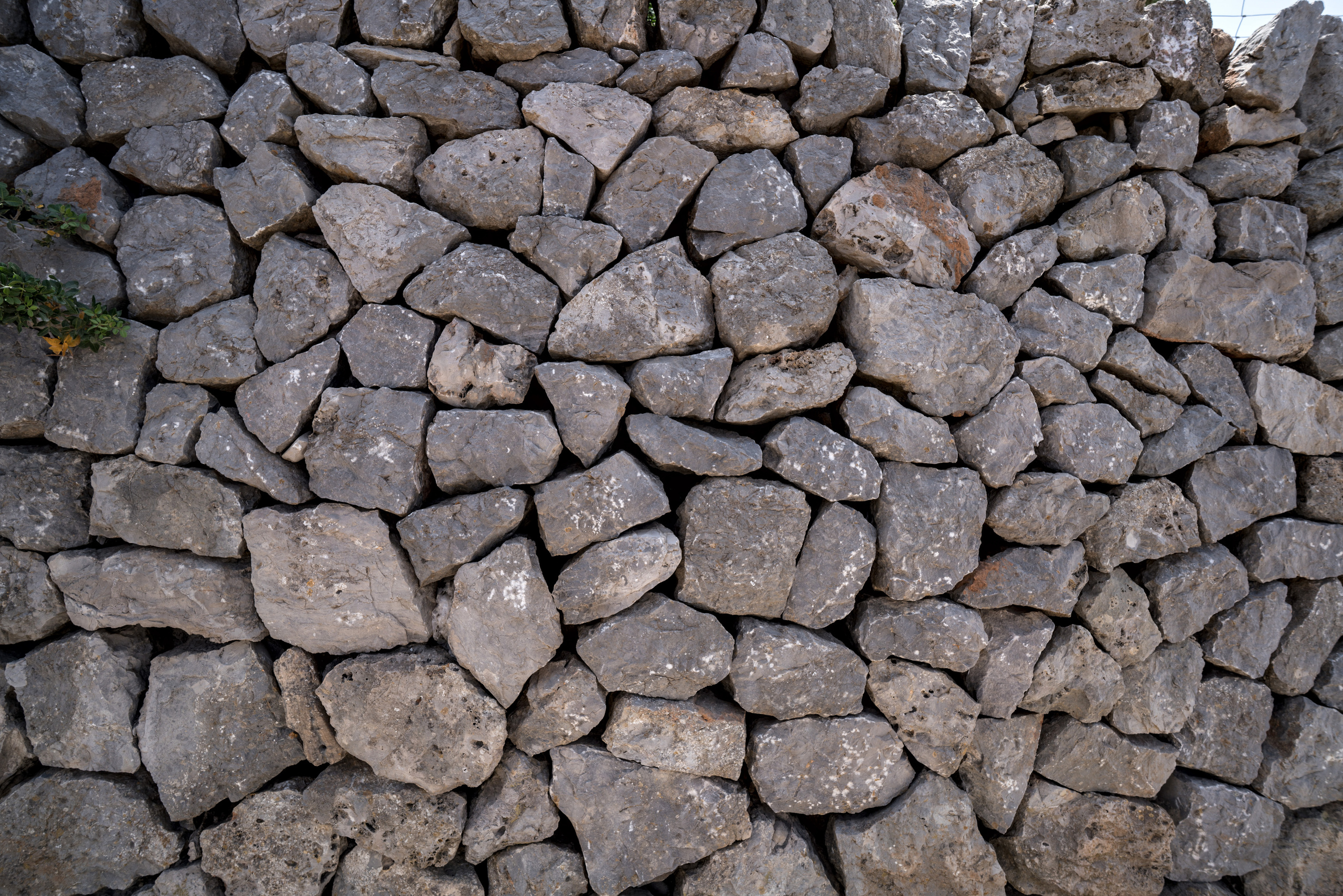 Майорка (июль 2018). Фотограф Сергей Танков