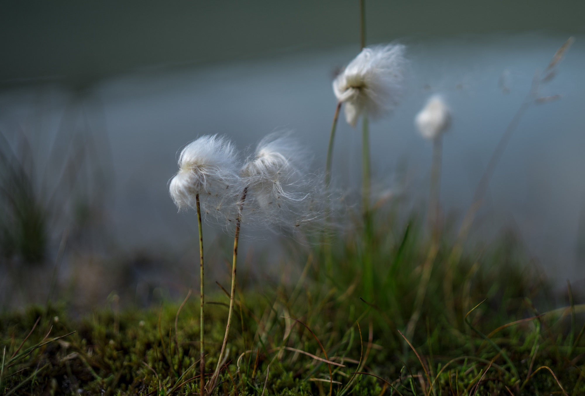 Исландия (август 2018). Фотограф Сергей Танков