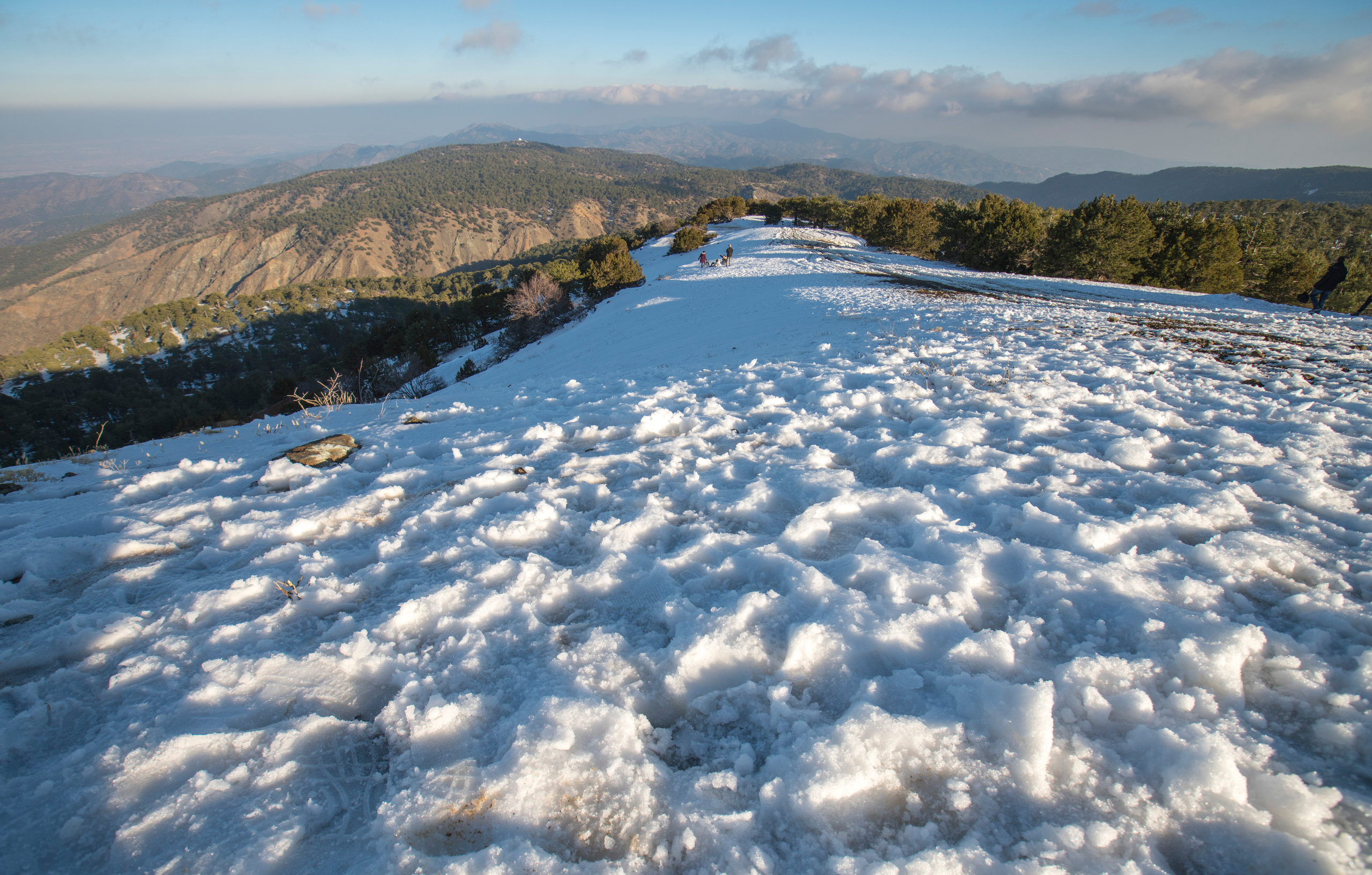 Кипр (январь 2018). Фотограф Сергей Танков