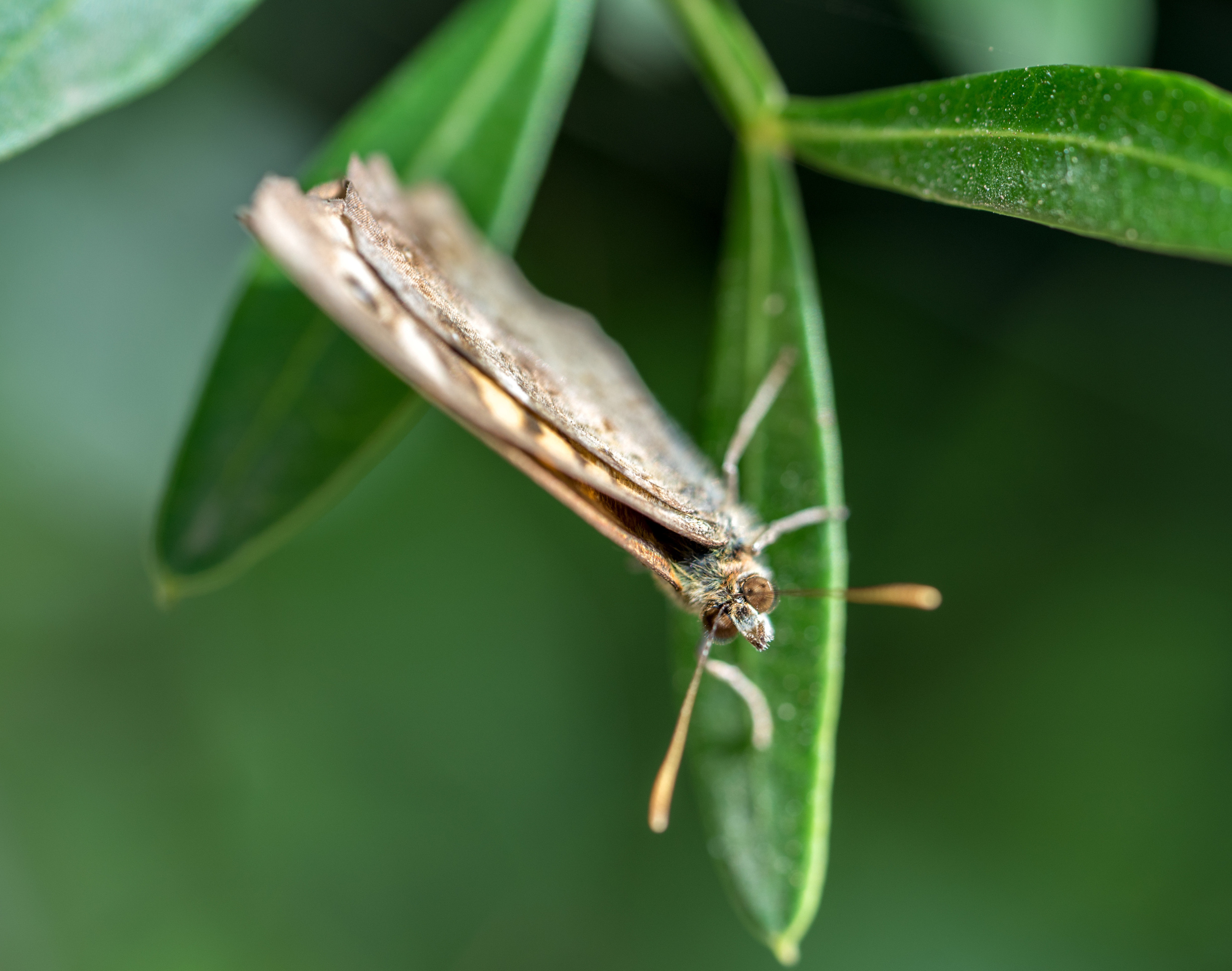 Майорка (июль 2018). Фотограф Сергей Танков