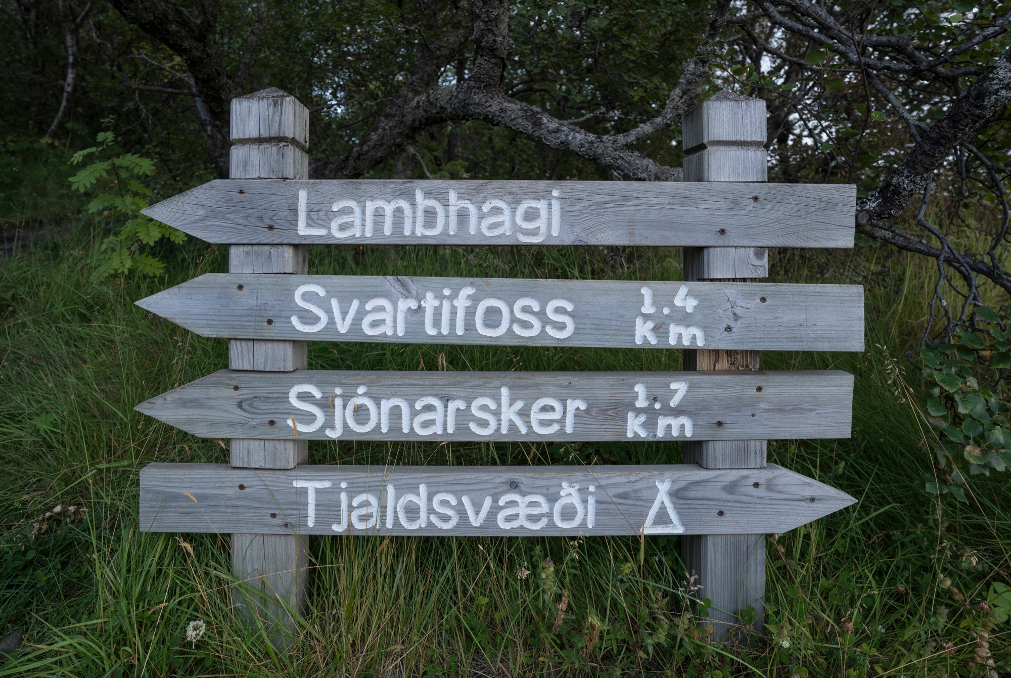 Исландия (август 2018). Фотограф Сергей Танков