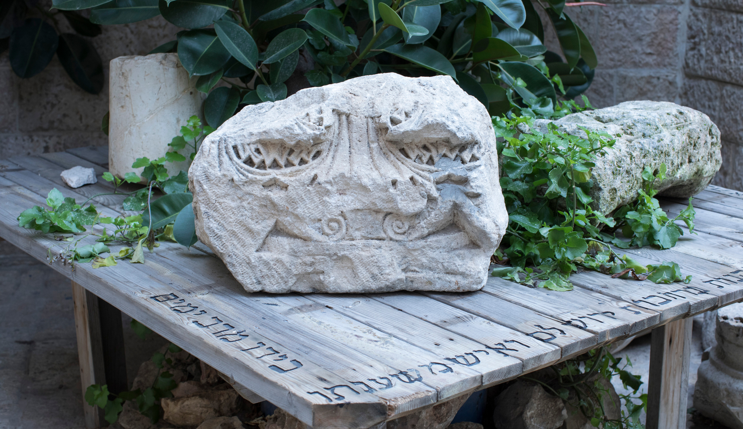 Израиль (январь 2017). Фотограф Сергей Танков