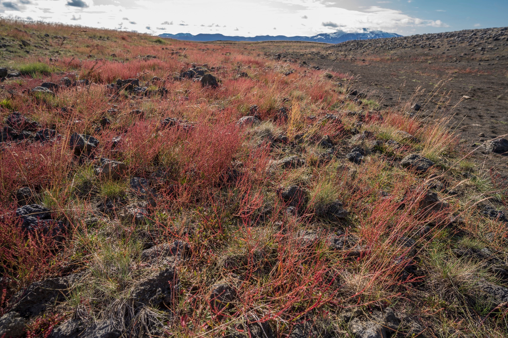 Исландия (август 2018). Фотограф Сергей Танков