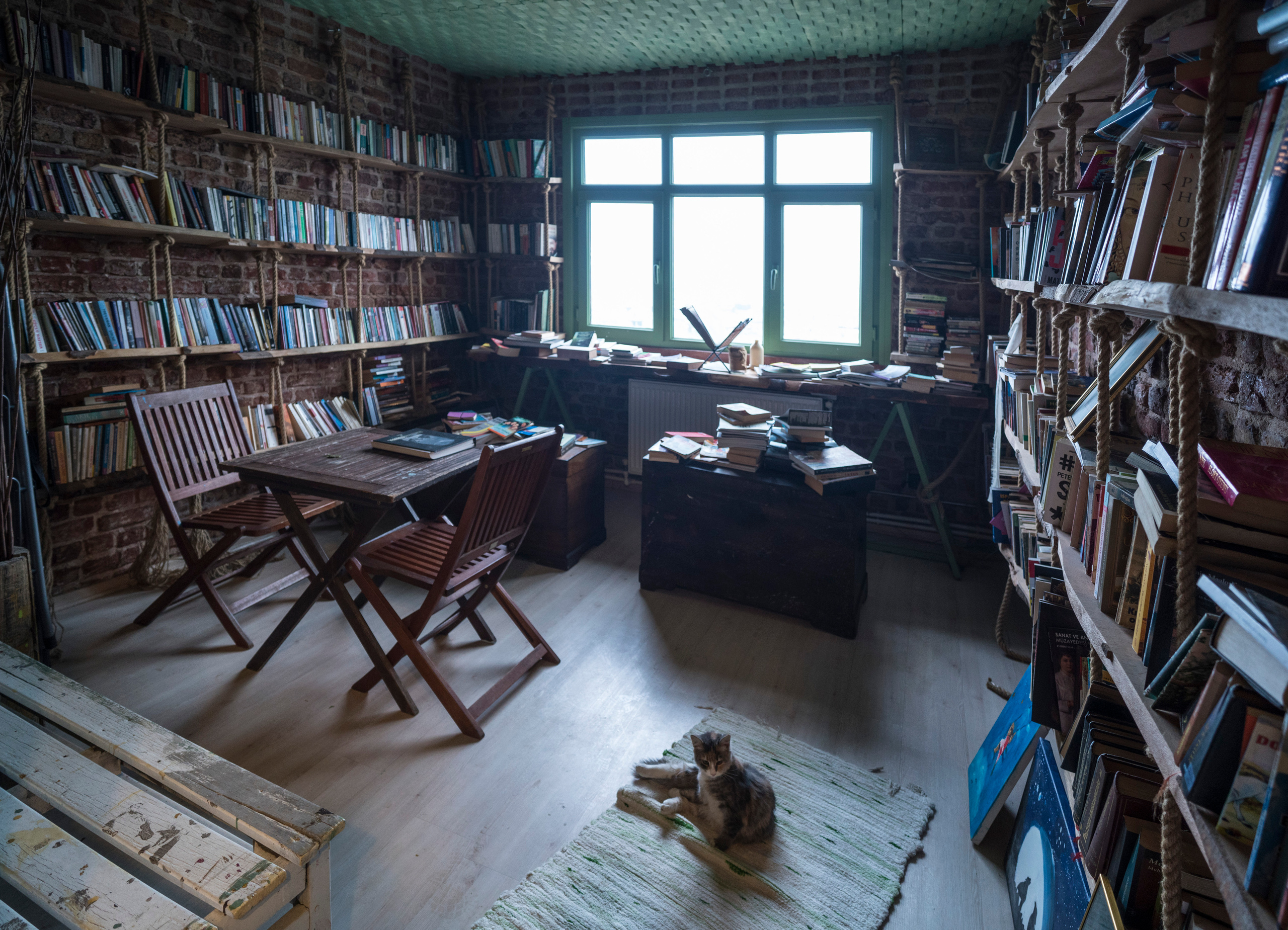 Стамбул (ноябрь 2018). Фотограф Сергей Танков