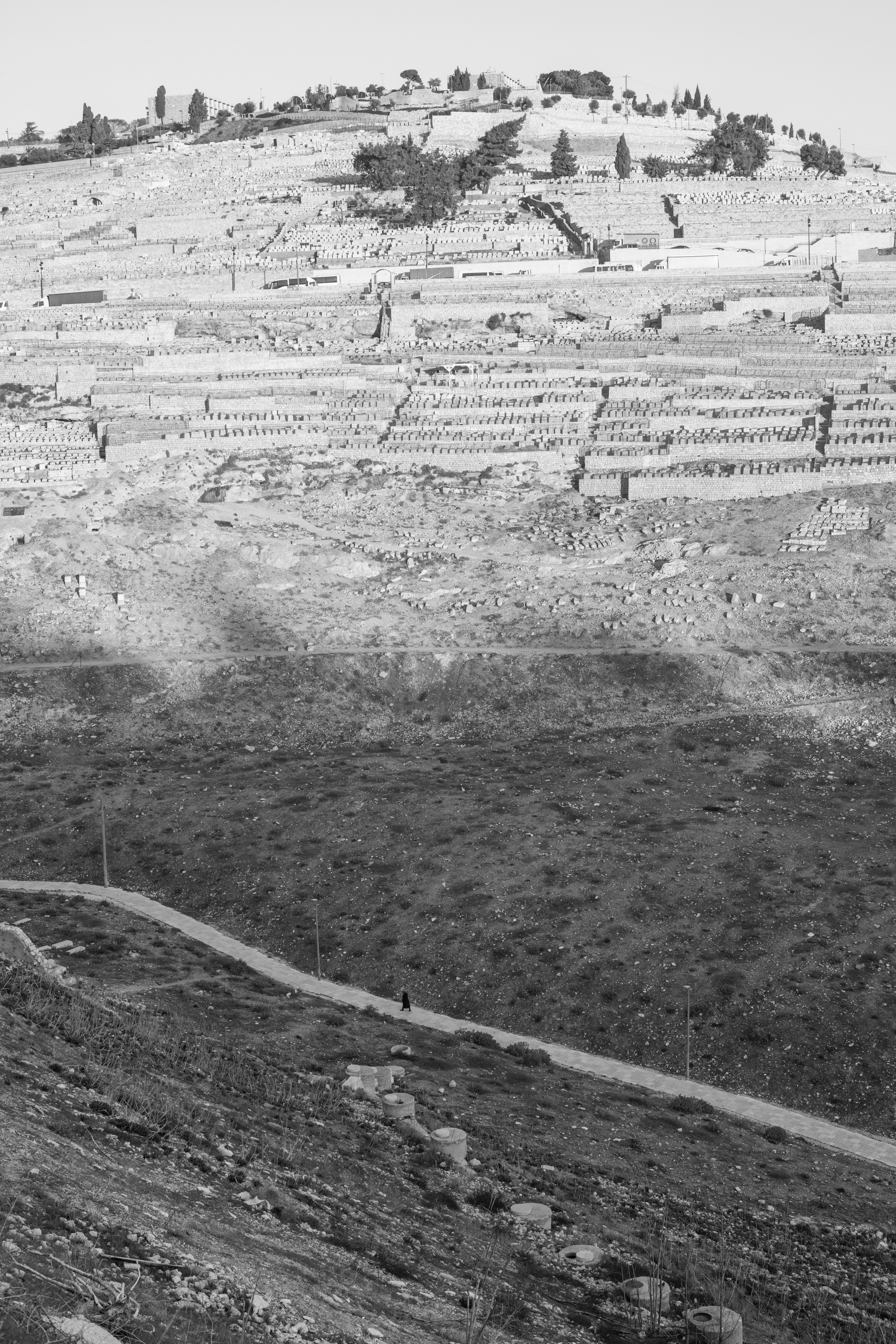 Израиль (январь 2017). Фотограф Сергей Танков