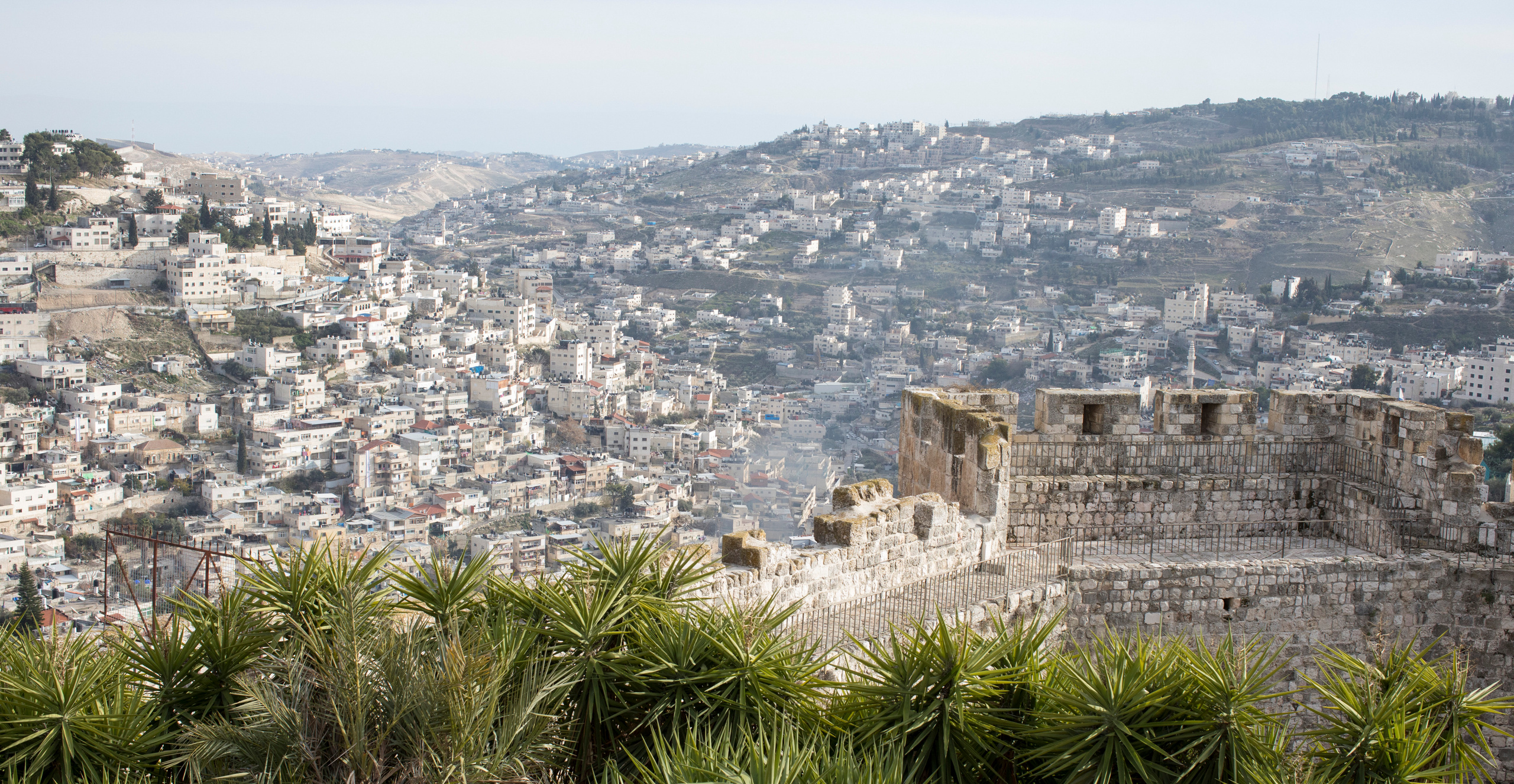 Израиль (январь 2017). Фотограф Сергей Танков