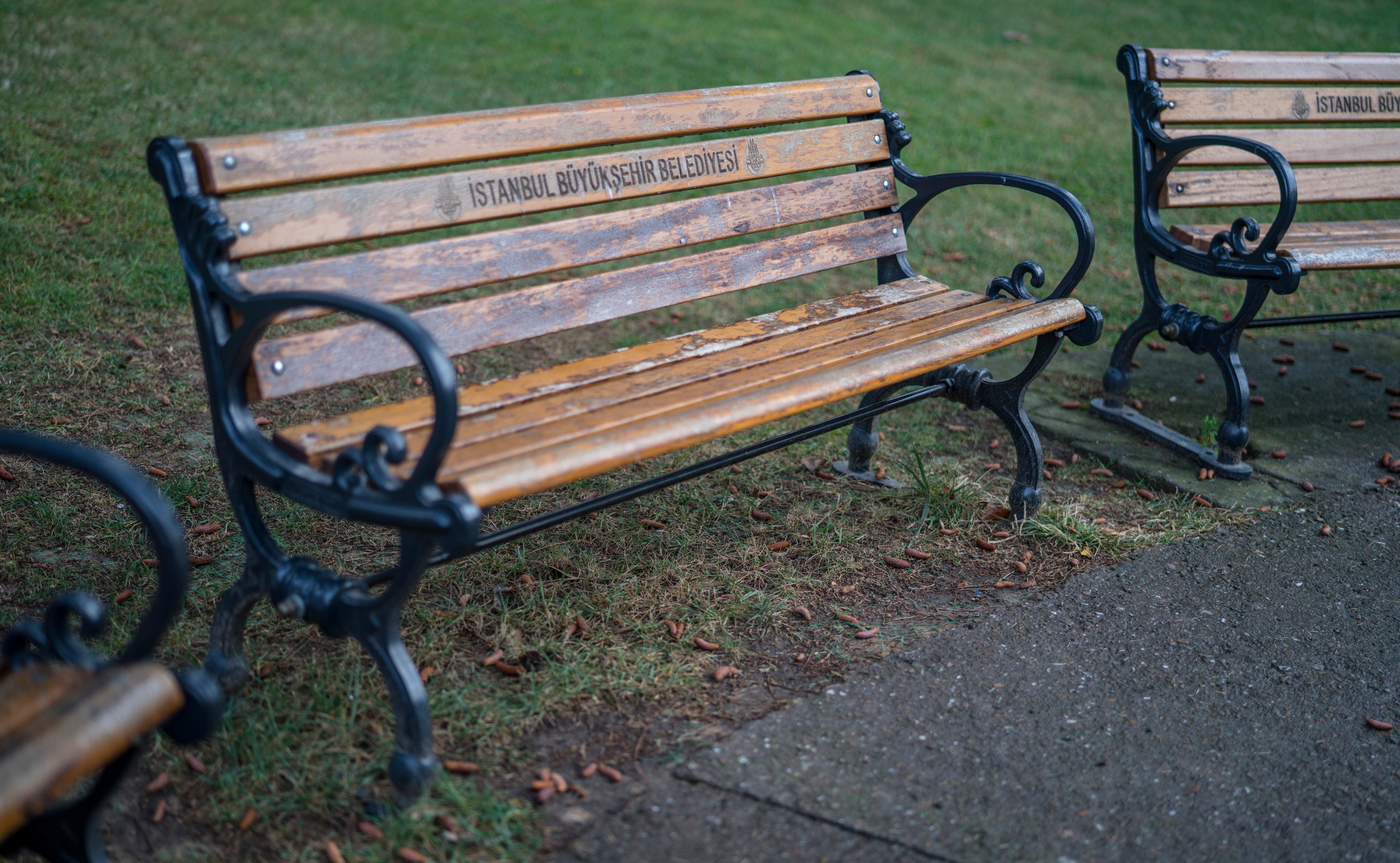 Стамбул (ноябрь 2018). Фотограф Сергей Танков