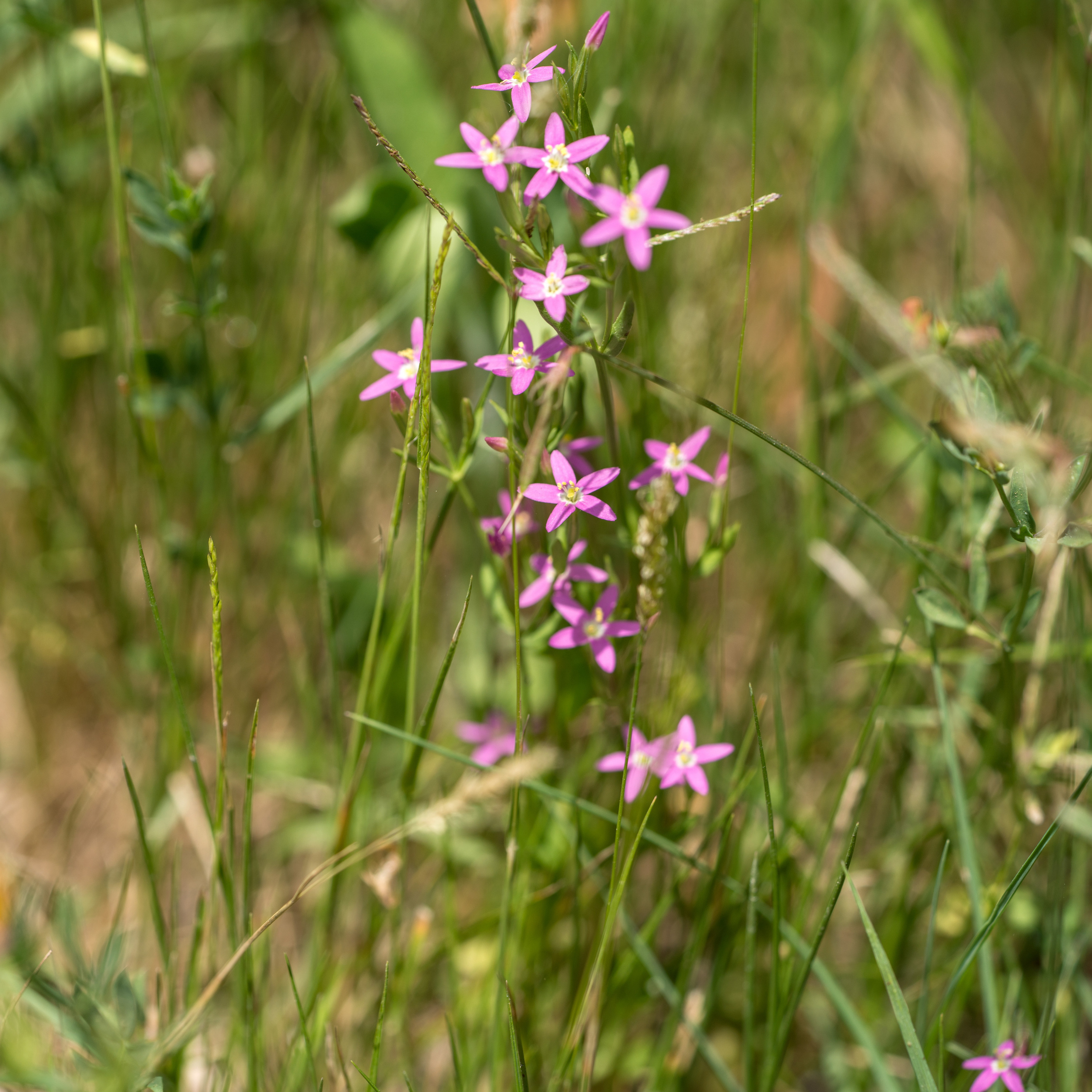 Майорка (июль 2018). Фотограф Сергей Танков