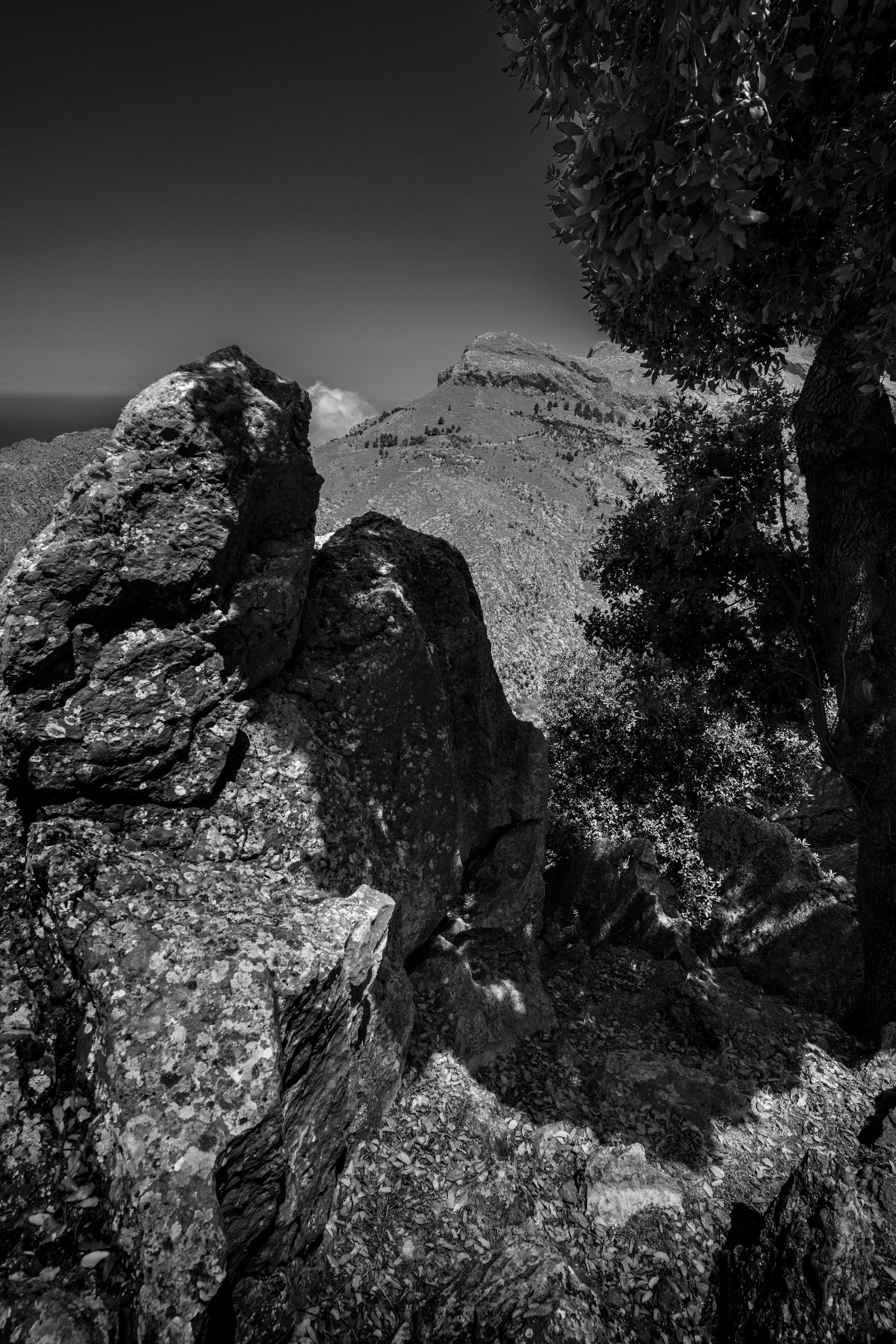 Майорка (июль 2018). Фотограф Сергей Танков