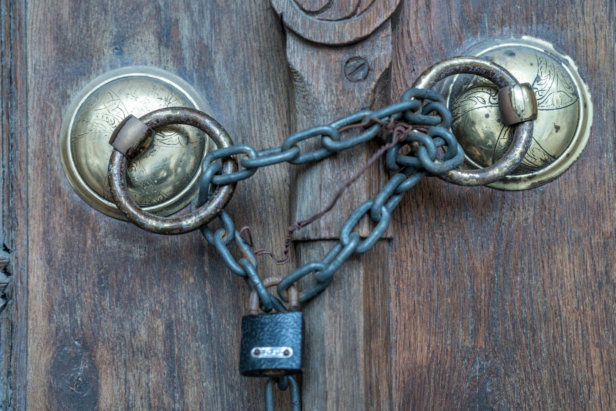 Стамбул (ноябрь 2018). Фотограф Сергей Танков