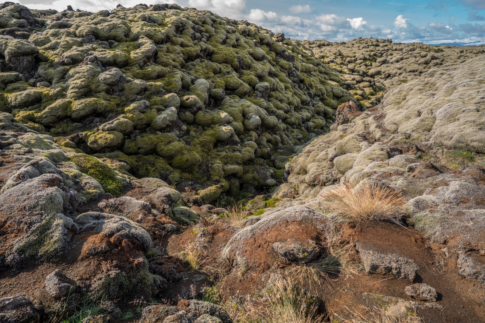Исландия (август 2018). Фотограф Сергей Танков