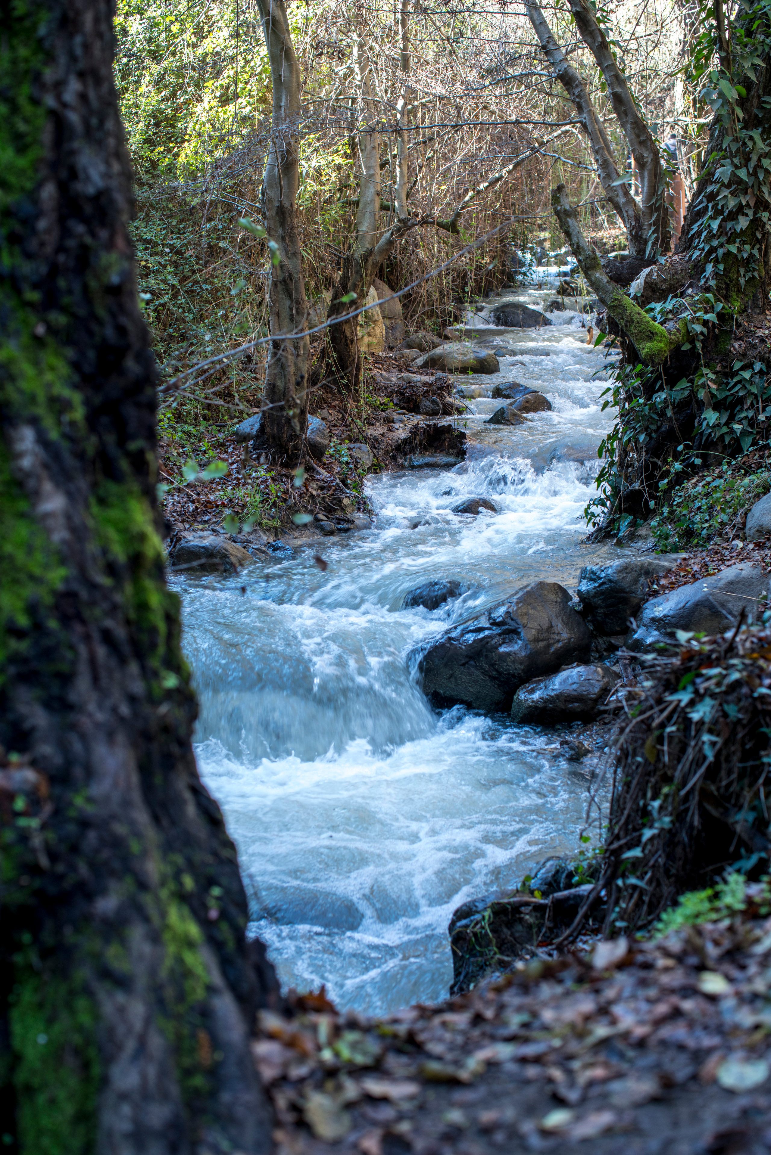 Кипр (январь 2018). Фотограф Сергей Танков