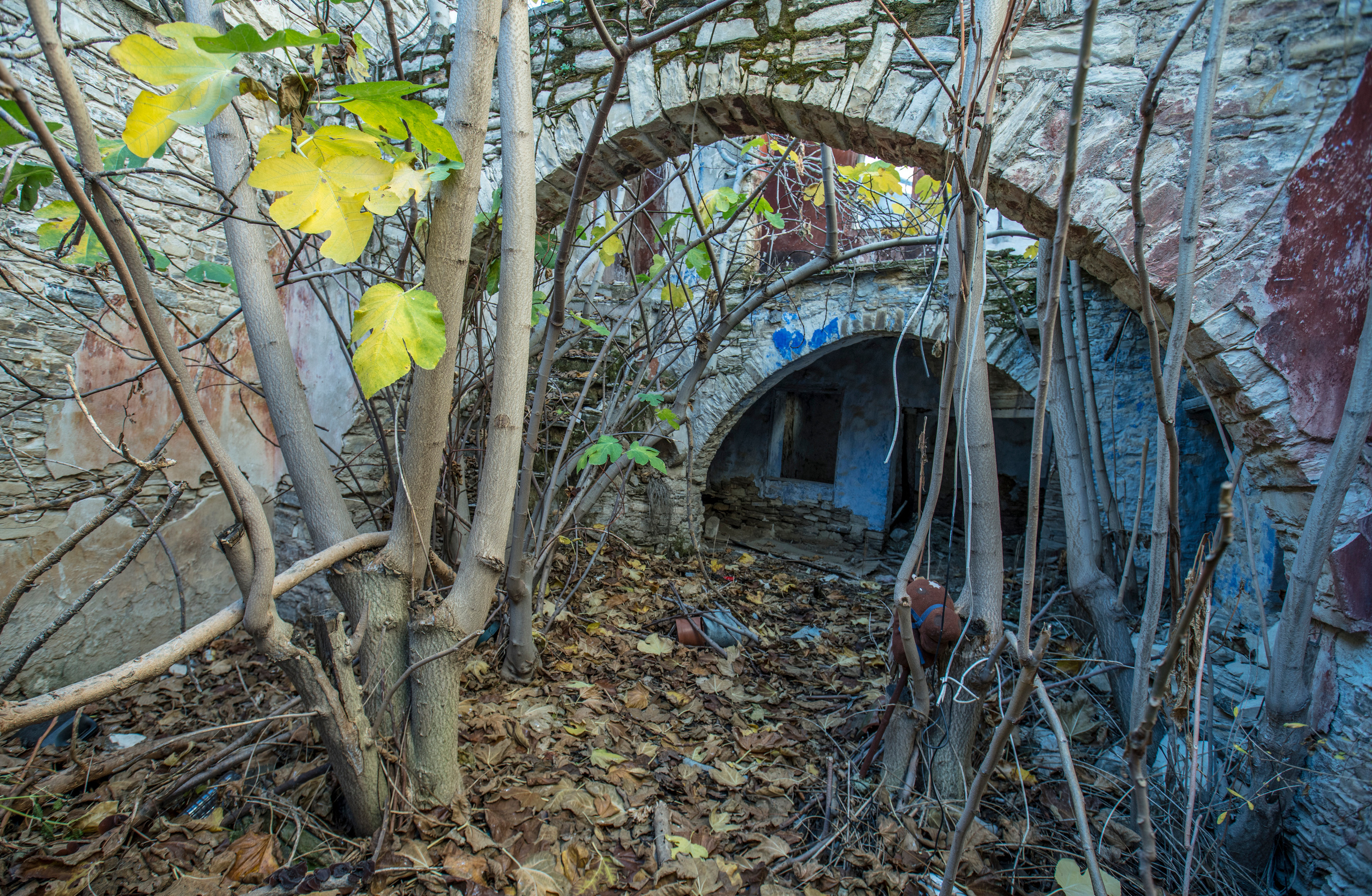 Кипр (январь 2018). Фотограф Сергей Танков