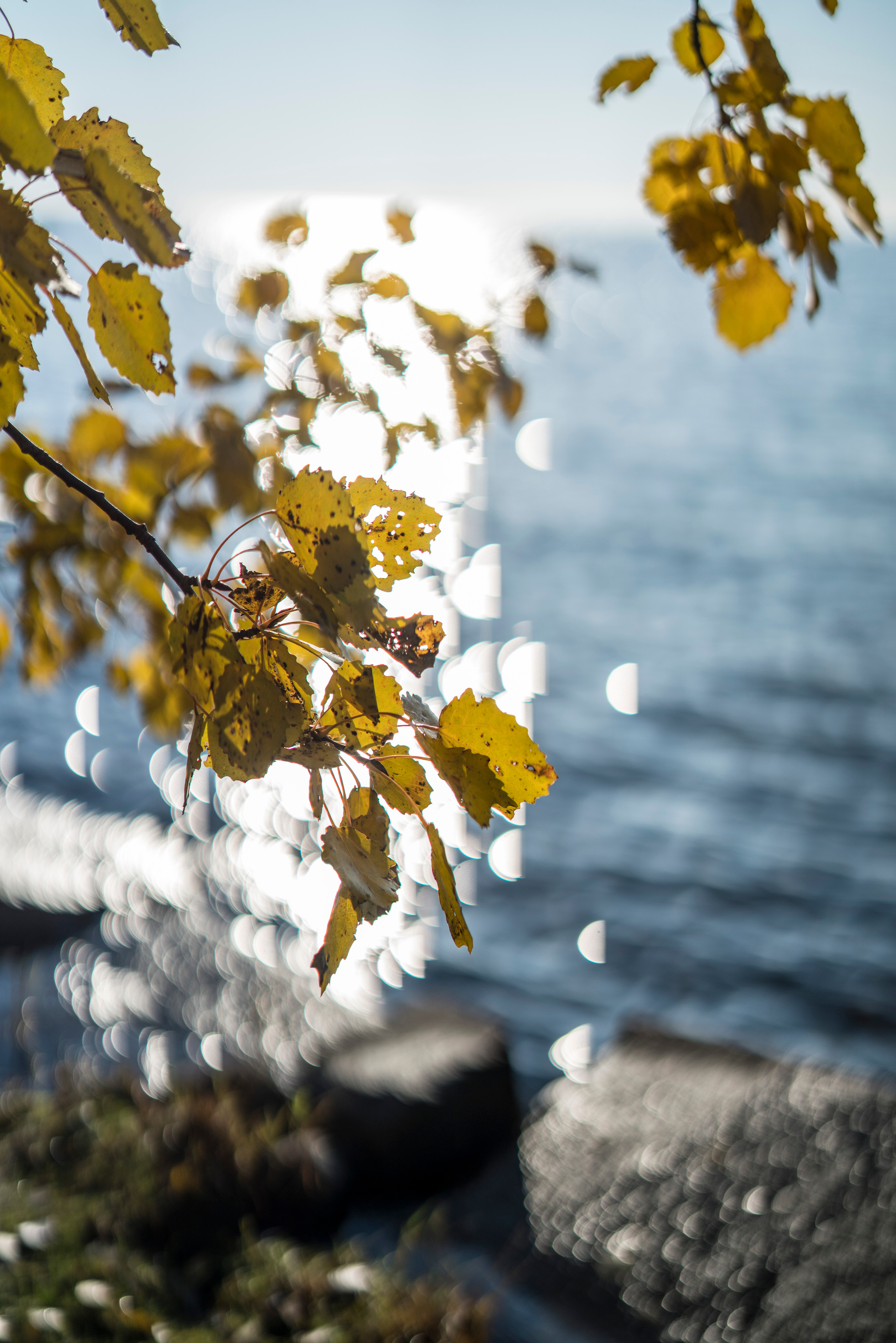 Питер. Кронштадт. Форты (октябрь 2018). Фотограф Сергей Танков