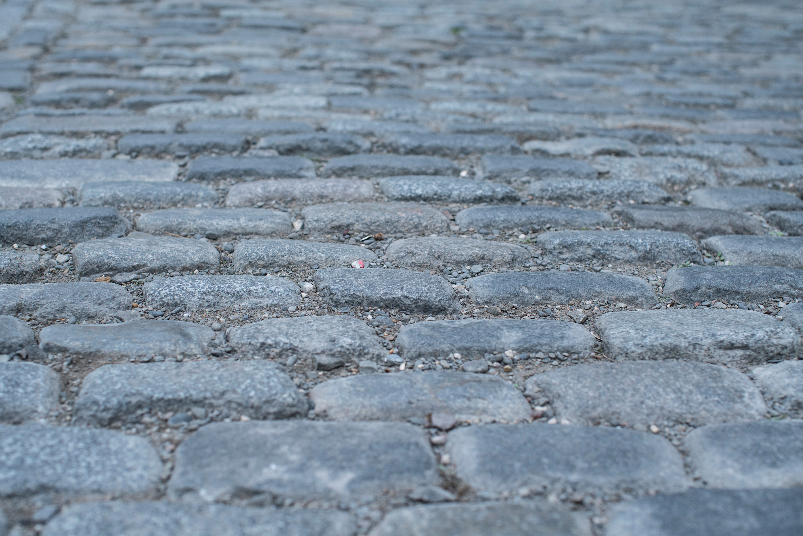 Грузия (декабрь 2017). Фотограф Сергей Танков