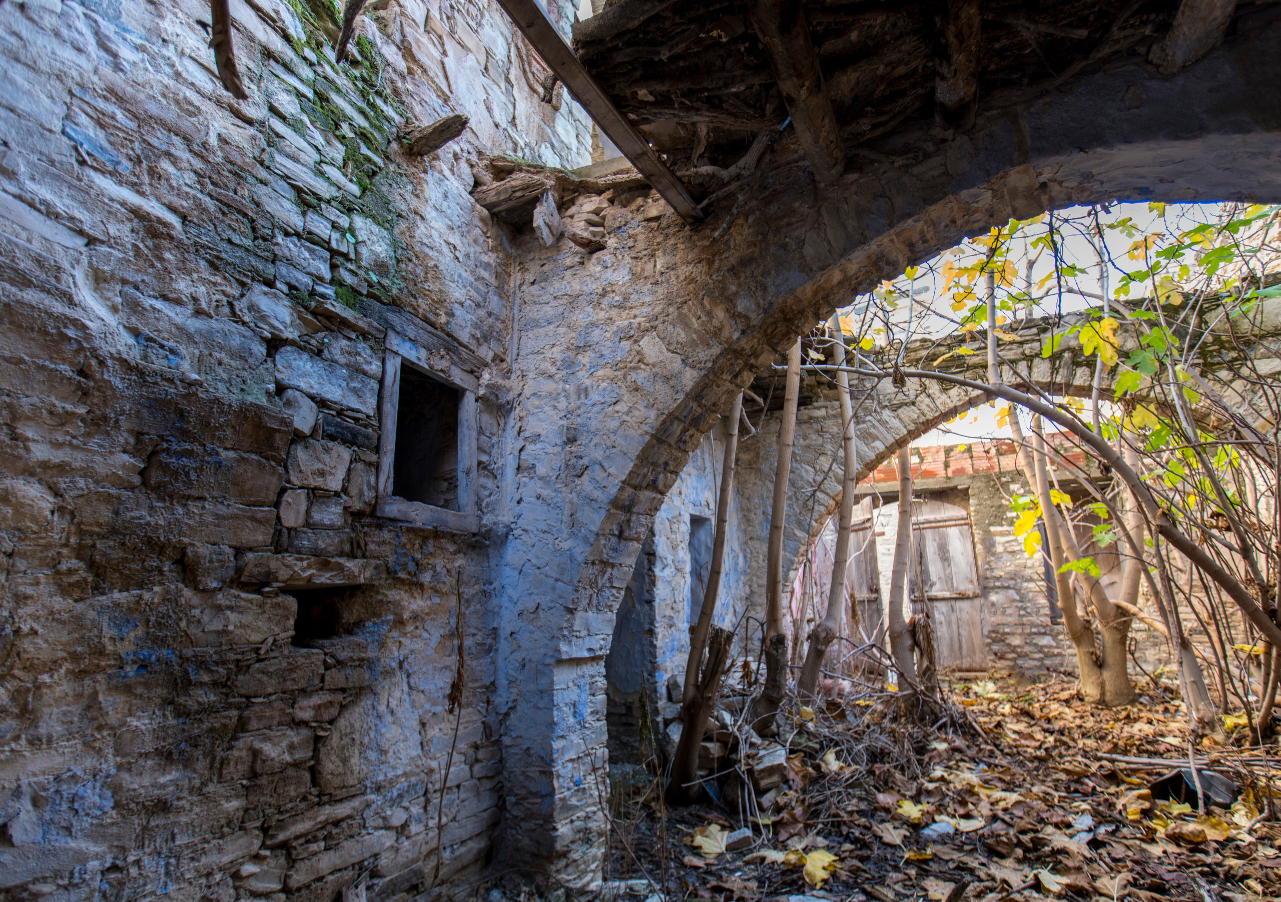 Кипр (январь 2018). Фотограф Сергей Танков