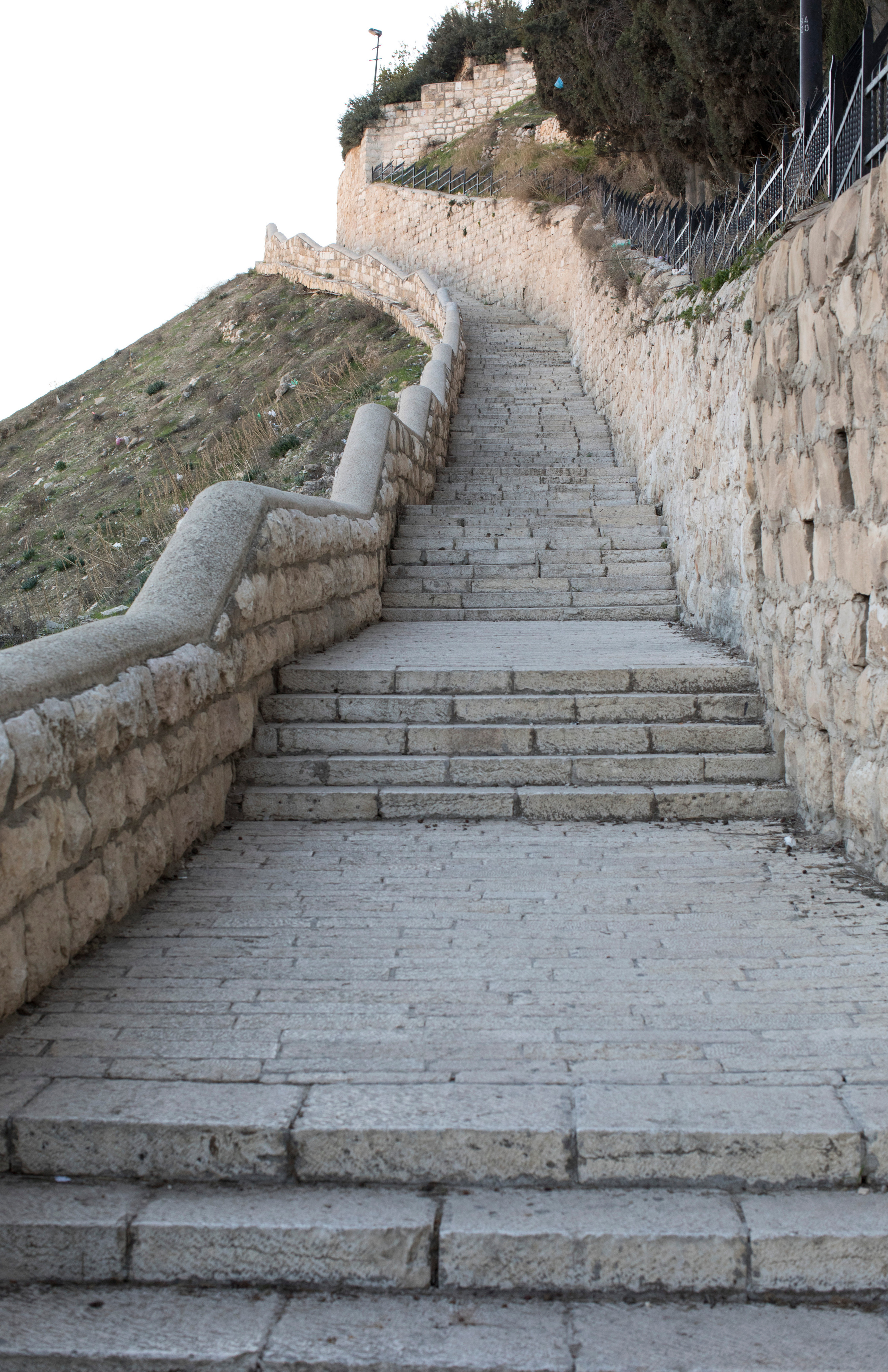 Израиль (январь 2017). Фотограф Сергей Танков