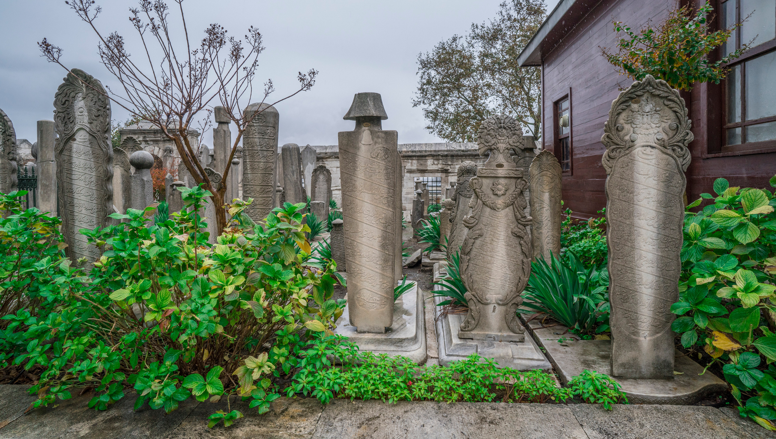 Стамбул (ноябрь 2018). Фотограф Сергей Танков