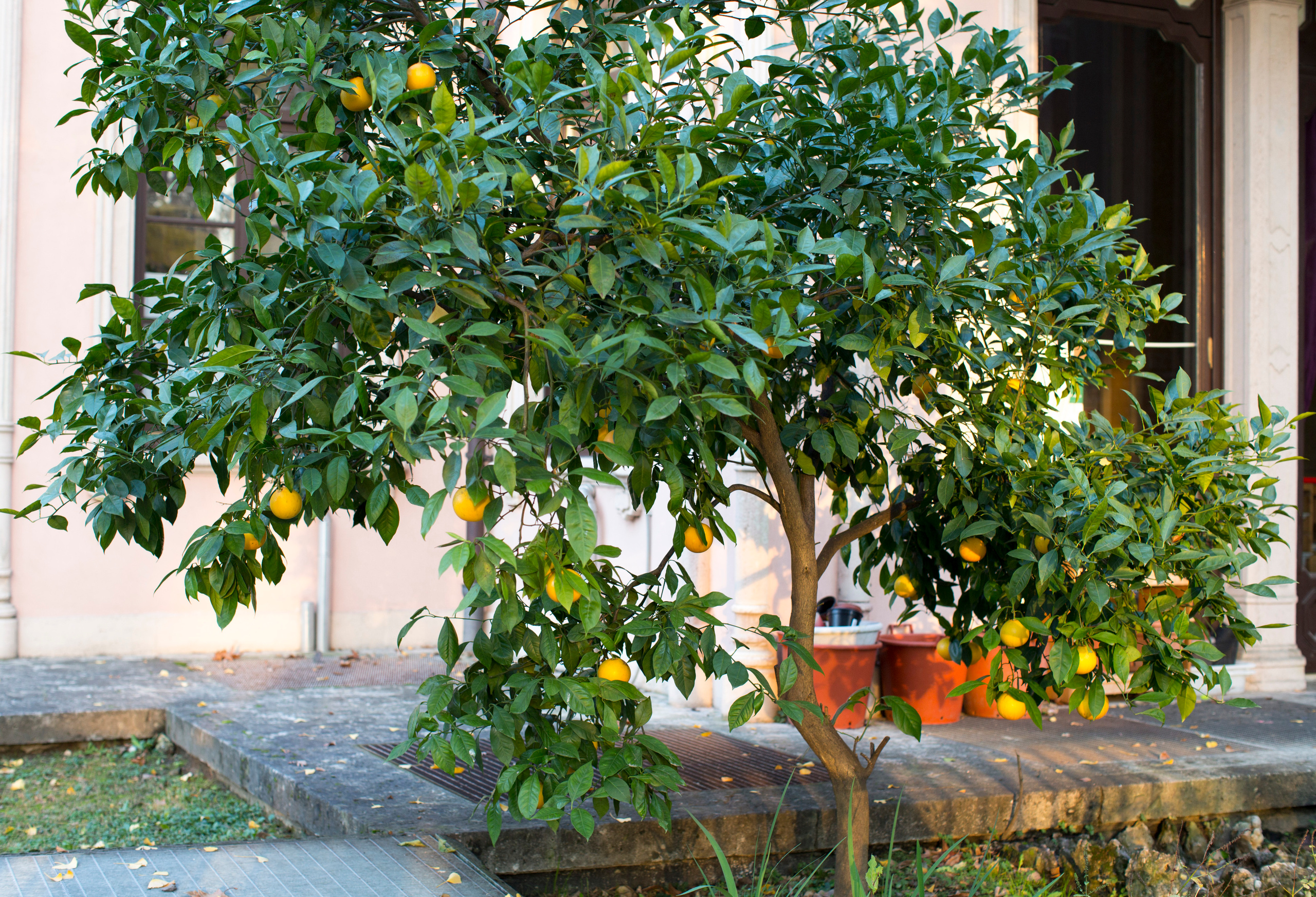 Милан (ноябрь 2014). Фотограф Сергей Танков