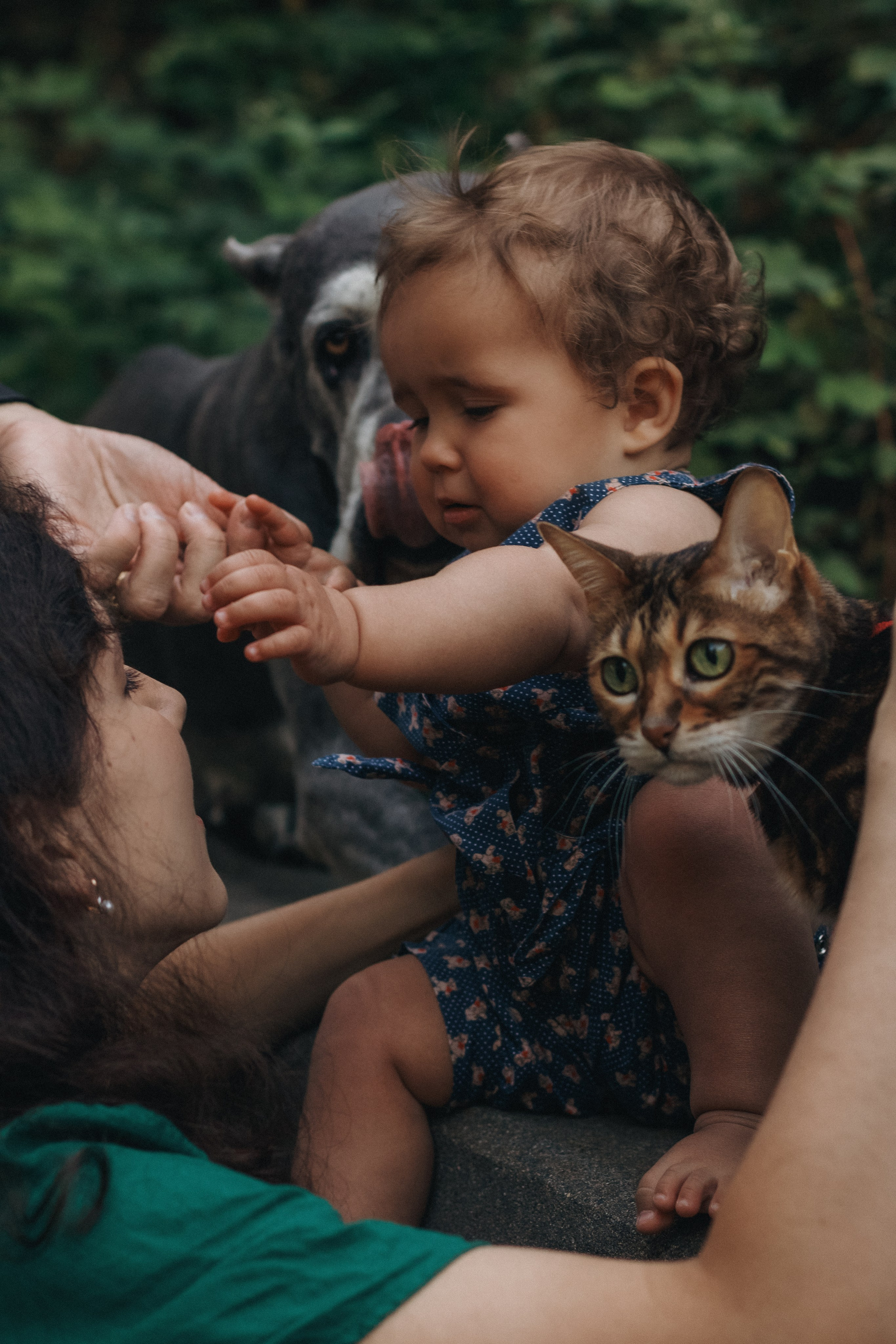 Ранним утром. Фотограф Ирина Нехороших