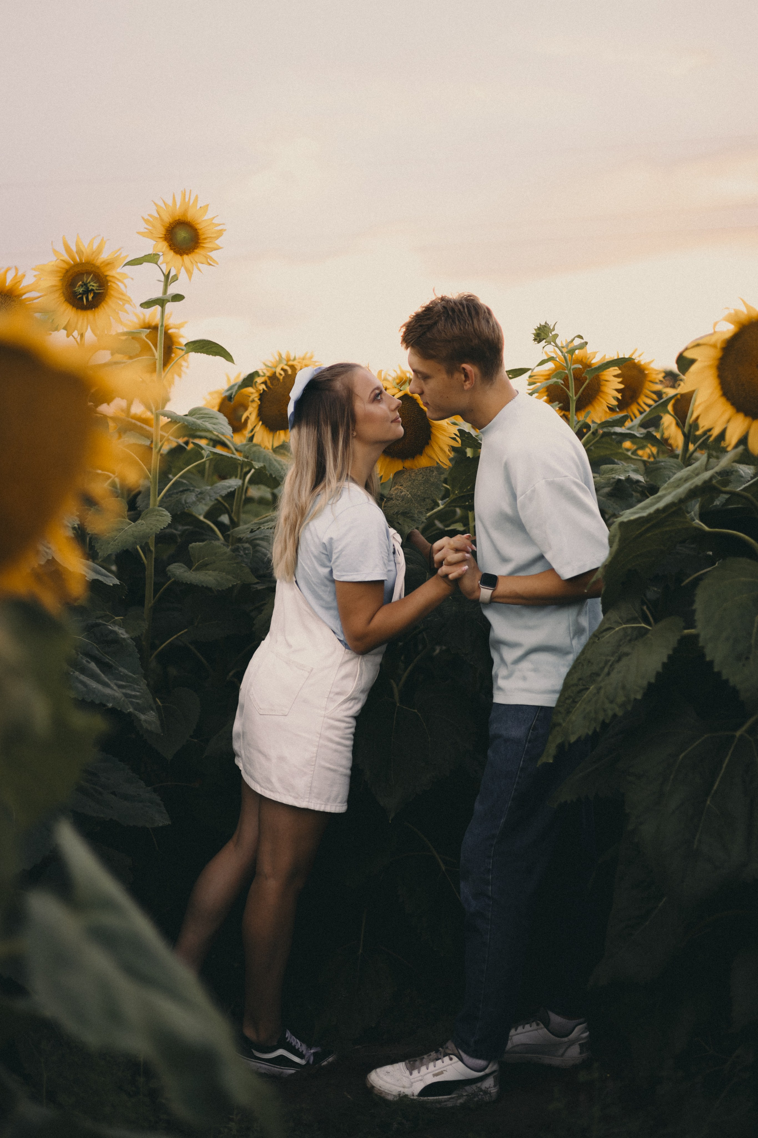 Михаил и Валерия | Подсолнухи. Фотограф Мария Лаенко
