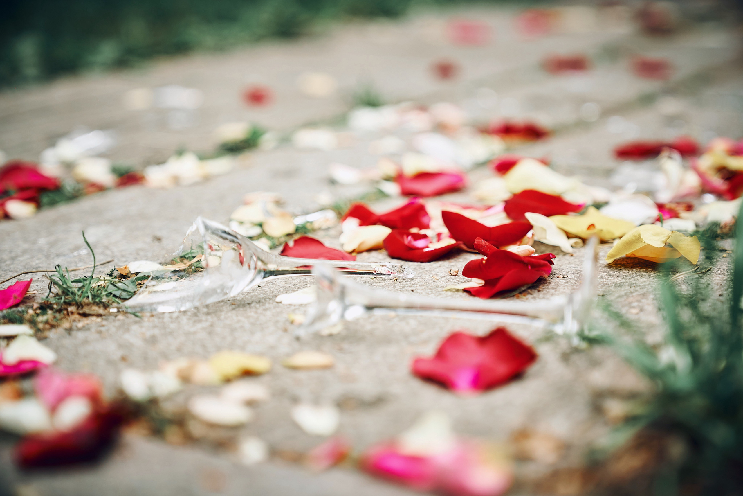 Свадебная Фотосессия и роспись на ВДНХ, Илья и Дарья