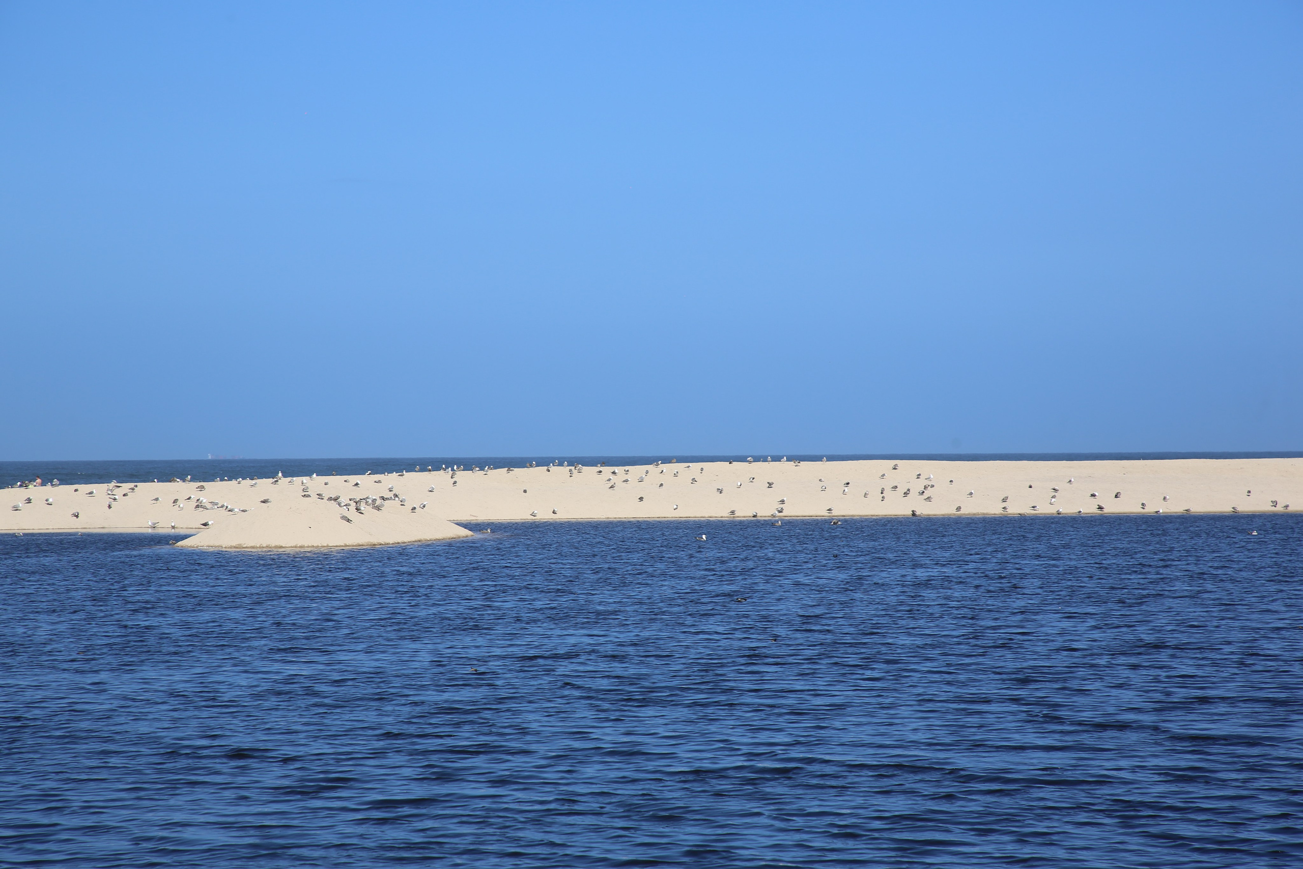 Esmoriz, Portugal. Andrey Filippov Photographer