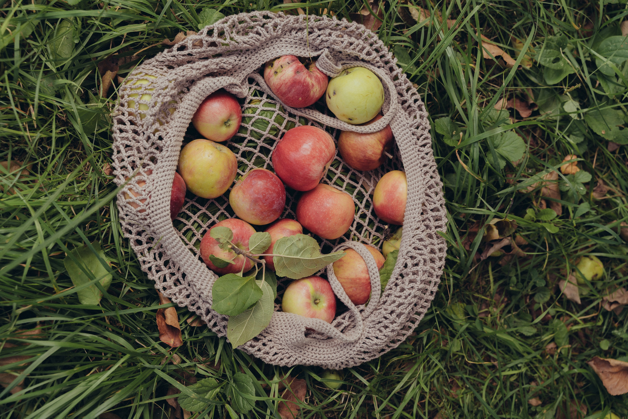 Осенняя история с мамой🍎. FotoTanya. Раменское/Жуковский/Бронницы