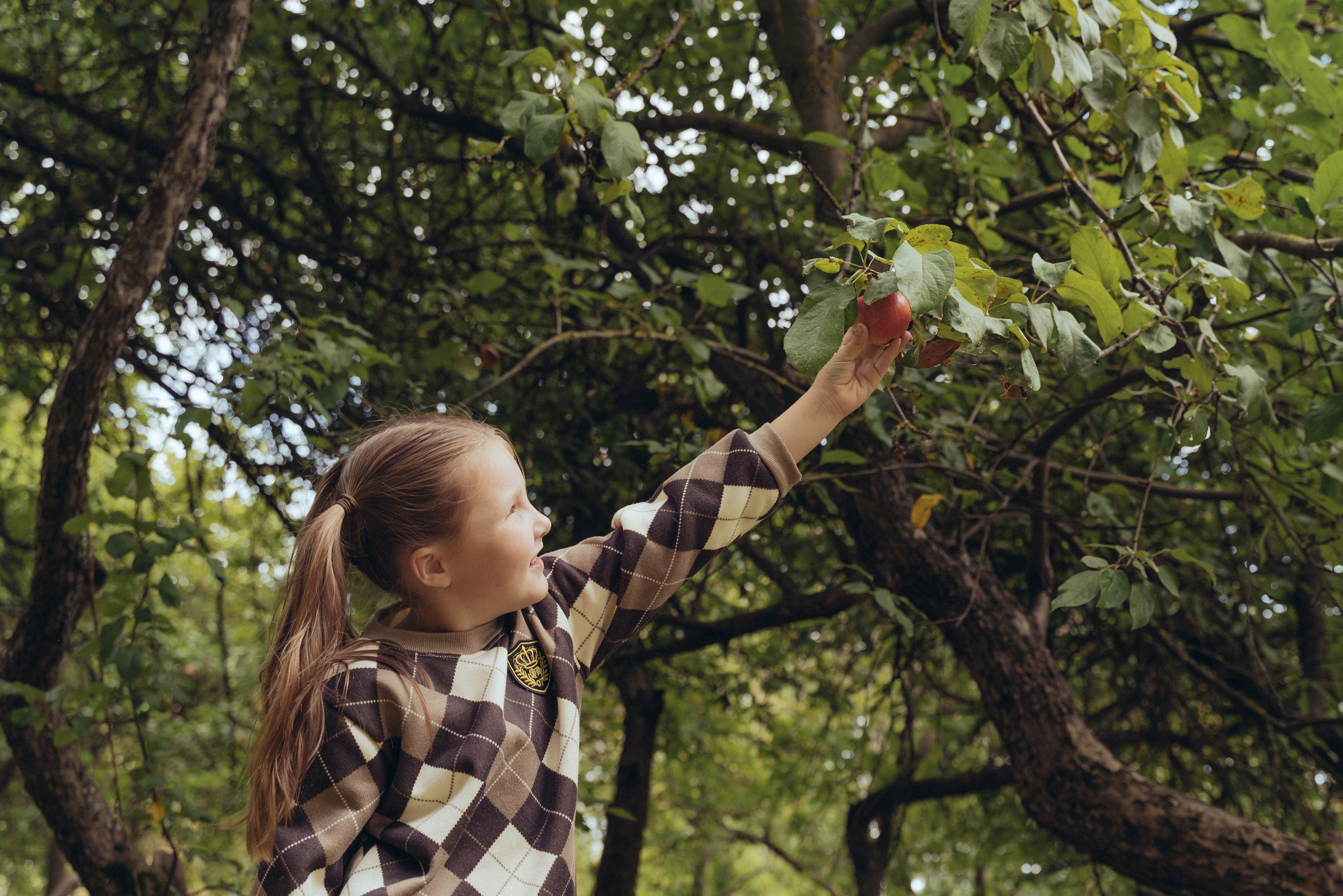 Осенняя история с мамой🍎. FotoTanya. Раменское/Жуковский/Бронницы