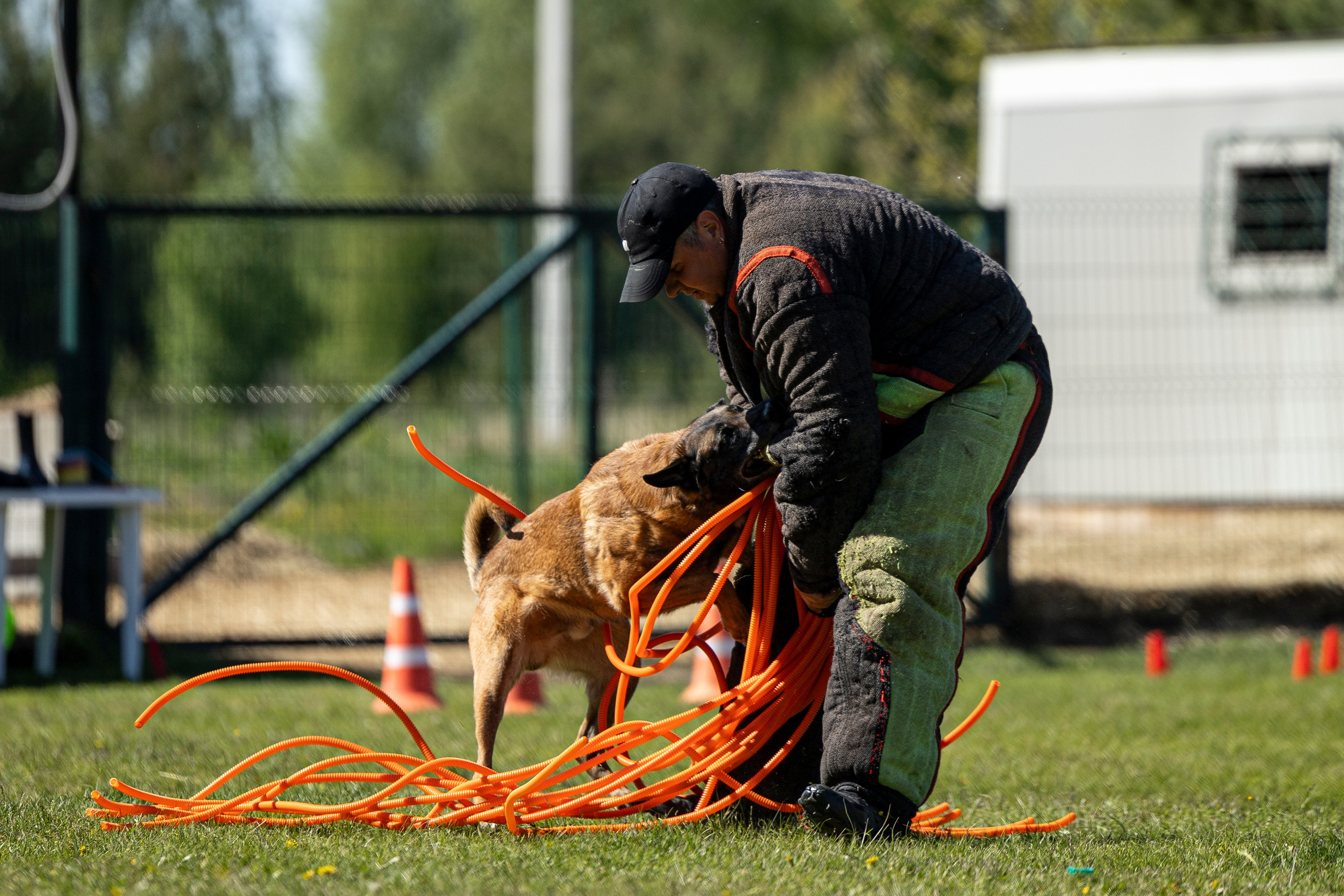 Испытания по мондьорингу в Нижнем Новгороде. Фотограф-анималист Анна Маринич