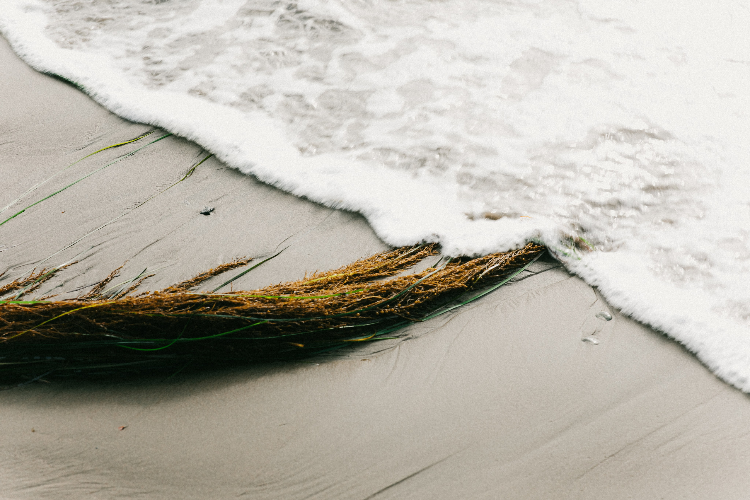 Portfolio. @beingabird.photography